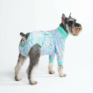 Dog Surgical Suit - Dragons