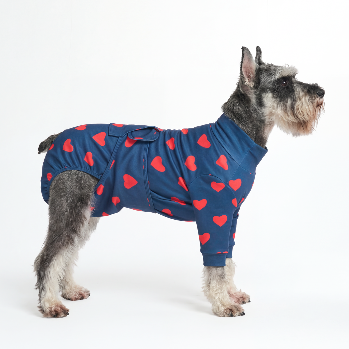 Dog Surgical Suit - Hearts - Image 3