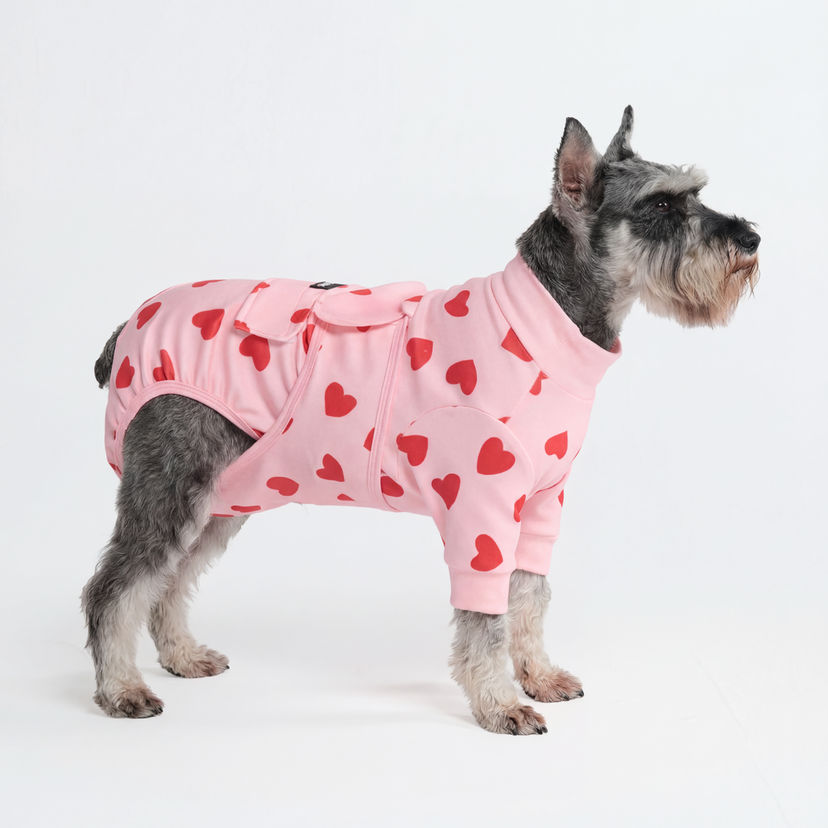 Dog Surgical Suit - Pink Hearts - Image 5