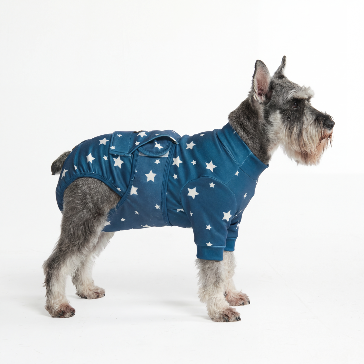 Dog Surgical Suit - Stars - Image 3