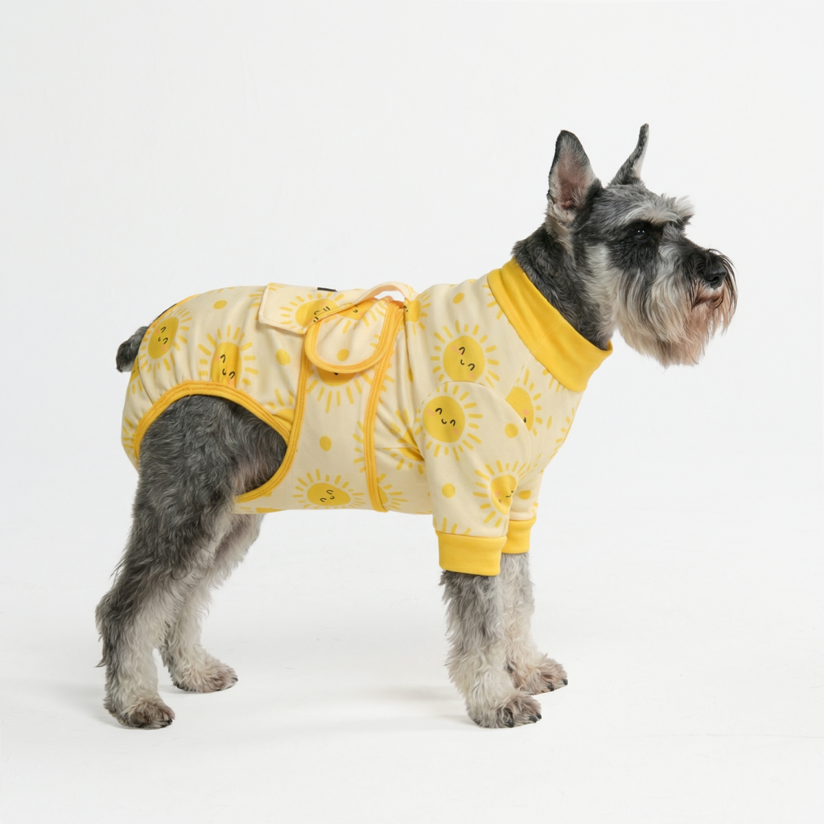 Dog Surgical Suit - Sunshine - Image 3