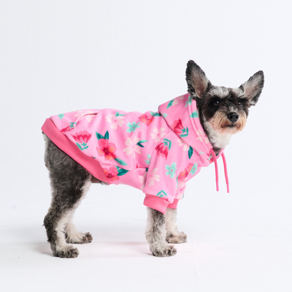 Blossom Dog Hoodie - Pink - Image 2
