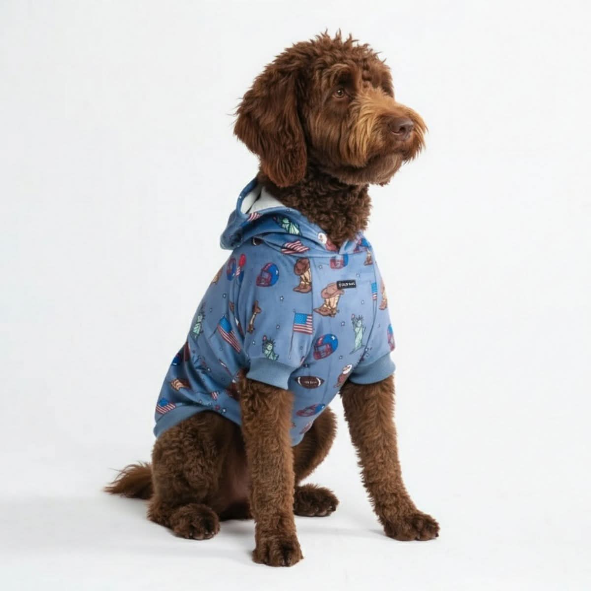 Around the World Dog Hoodies - Image 18