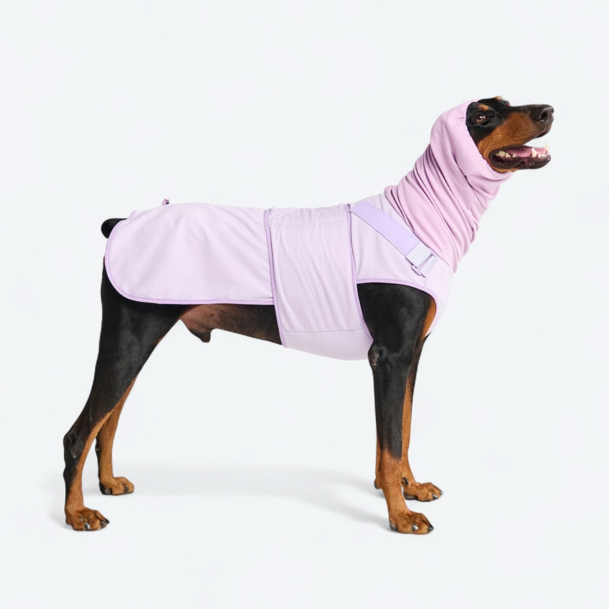 Anxiety Calming Suit - Purple - Image 4