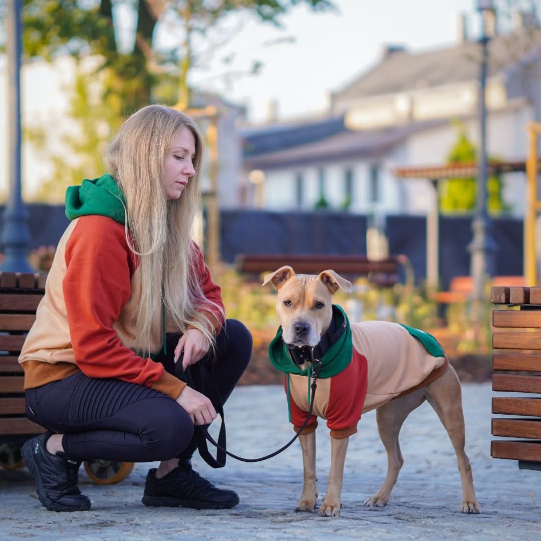 Ranger Human Hoodie - Image 2