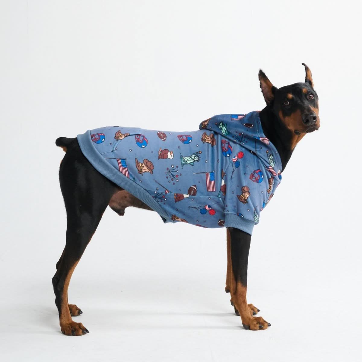 The USA Dog Hoodie - Blue