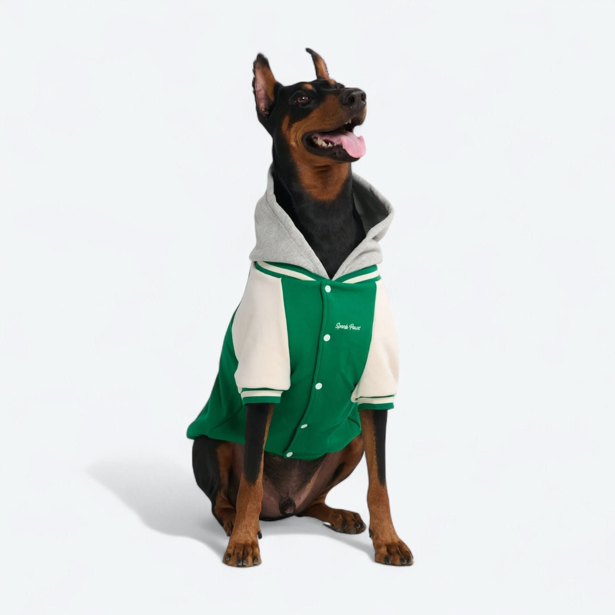 Dog Varsity Jacket - Green - Image 17