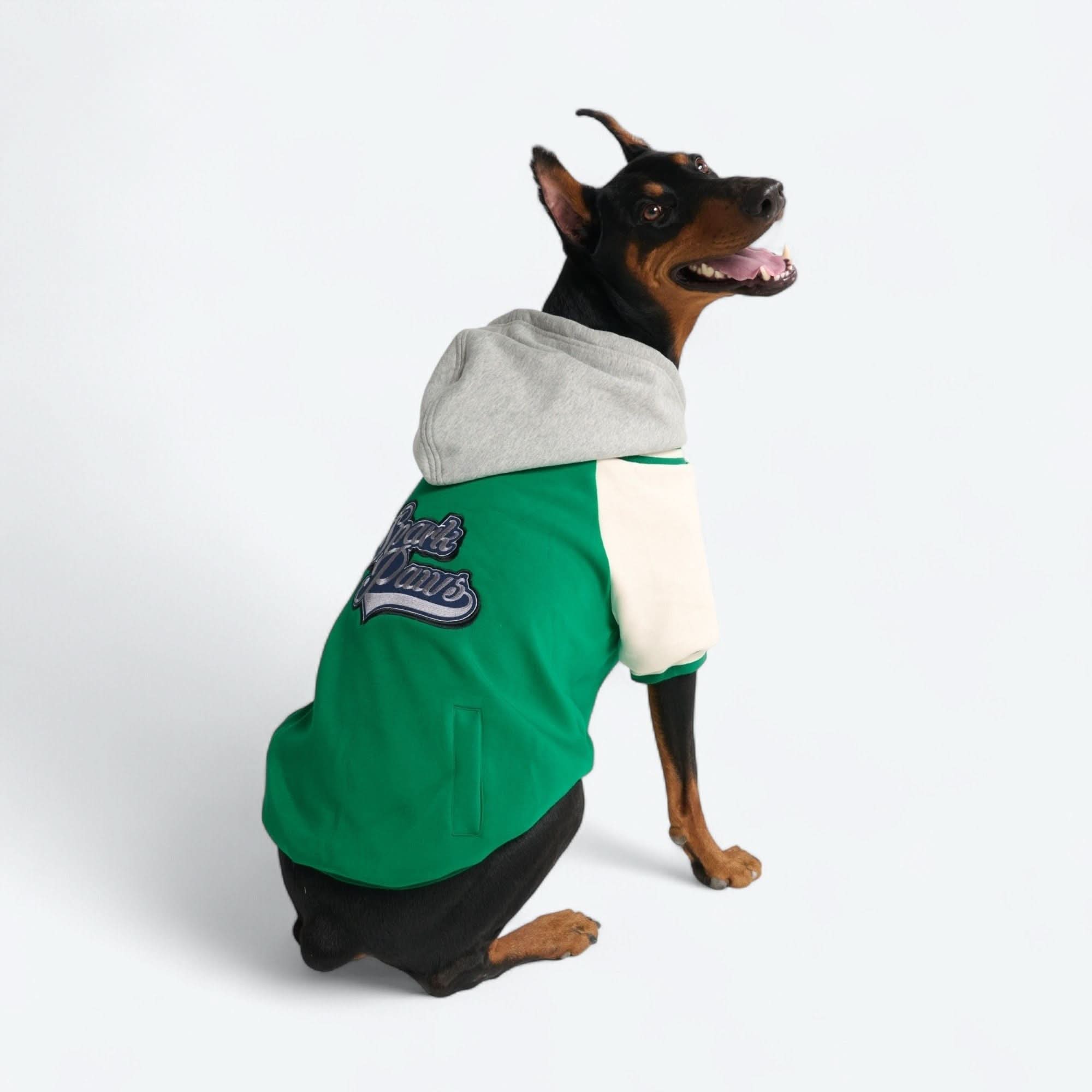 Dog Varsity Jacket - Green - Image 16