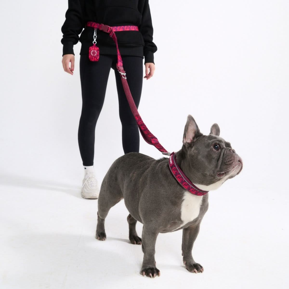 Multipurpose Seatbelt Handsfree Leash & Poop Bag Holder Set - Fuchsia Camo - Image 2