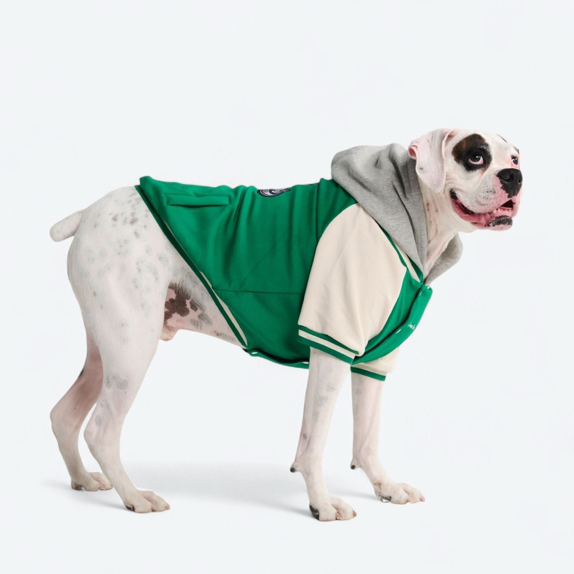 Dog Varsity Jacket - Green - Image 13