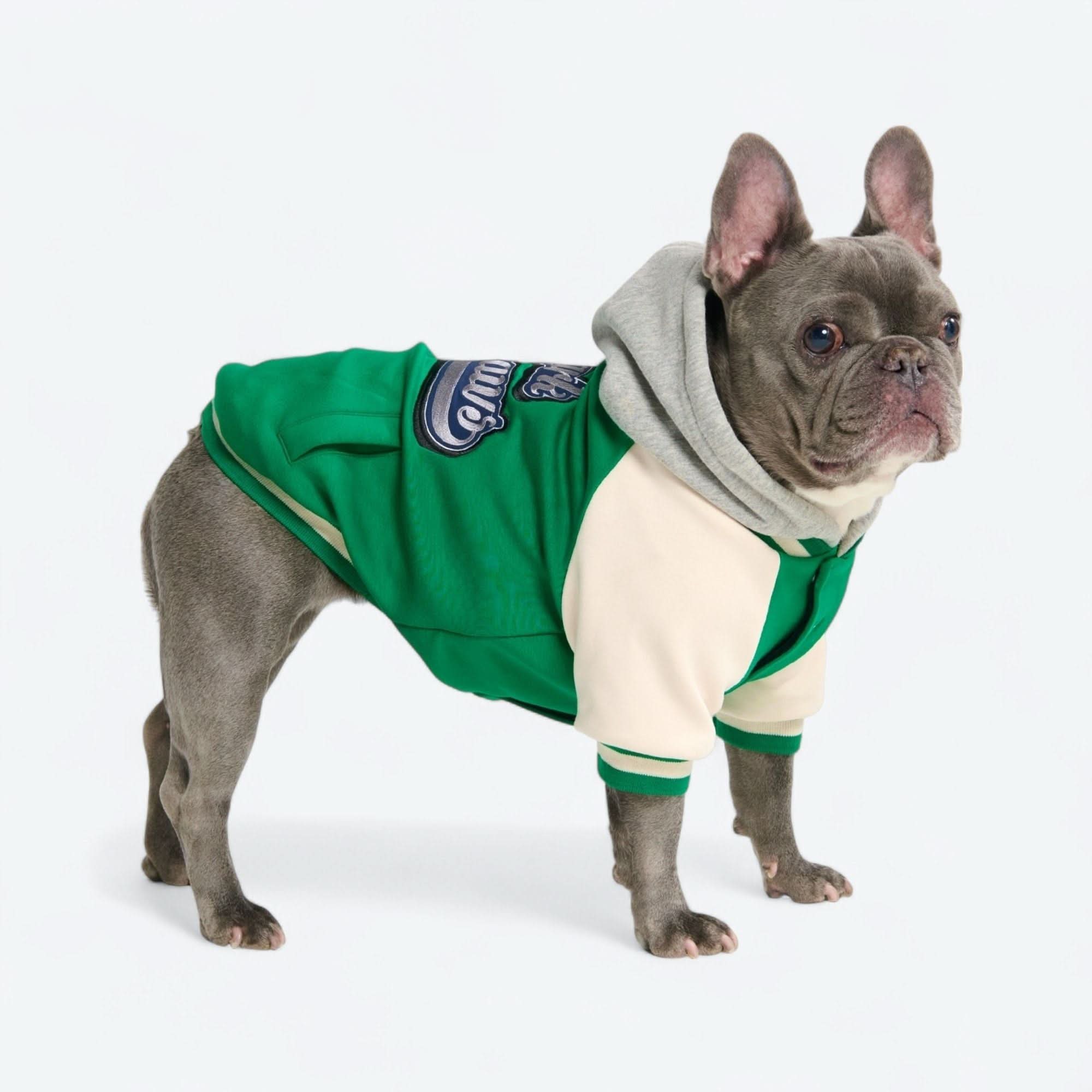 Dog Varsity Jacket - Green - Image 6