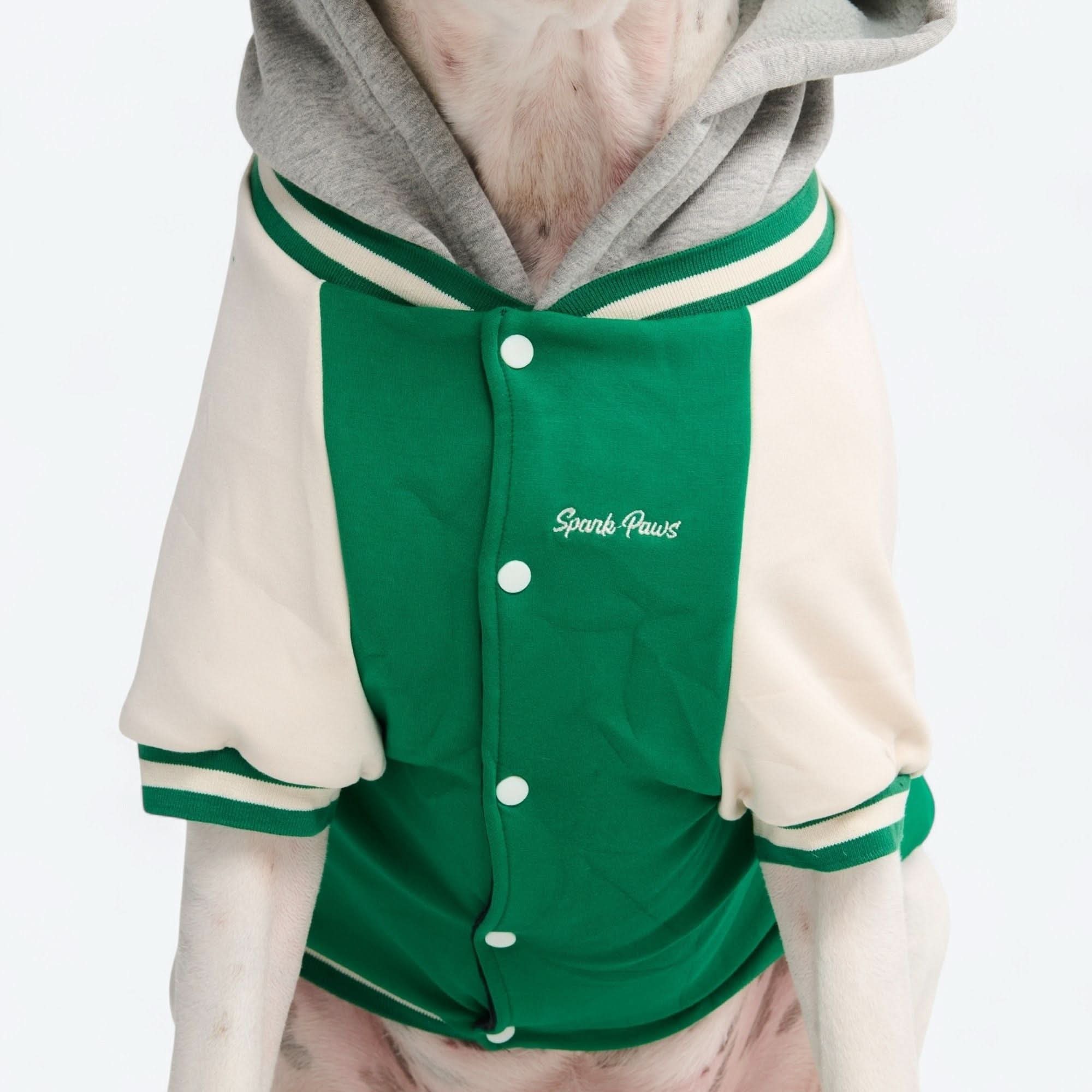 Dog Varsity Jacket - Green - Image 14