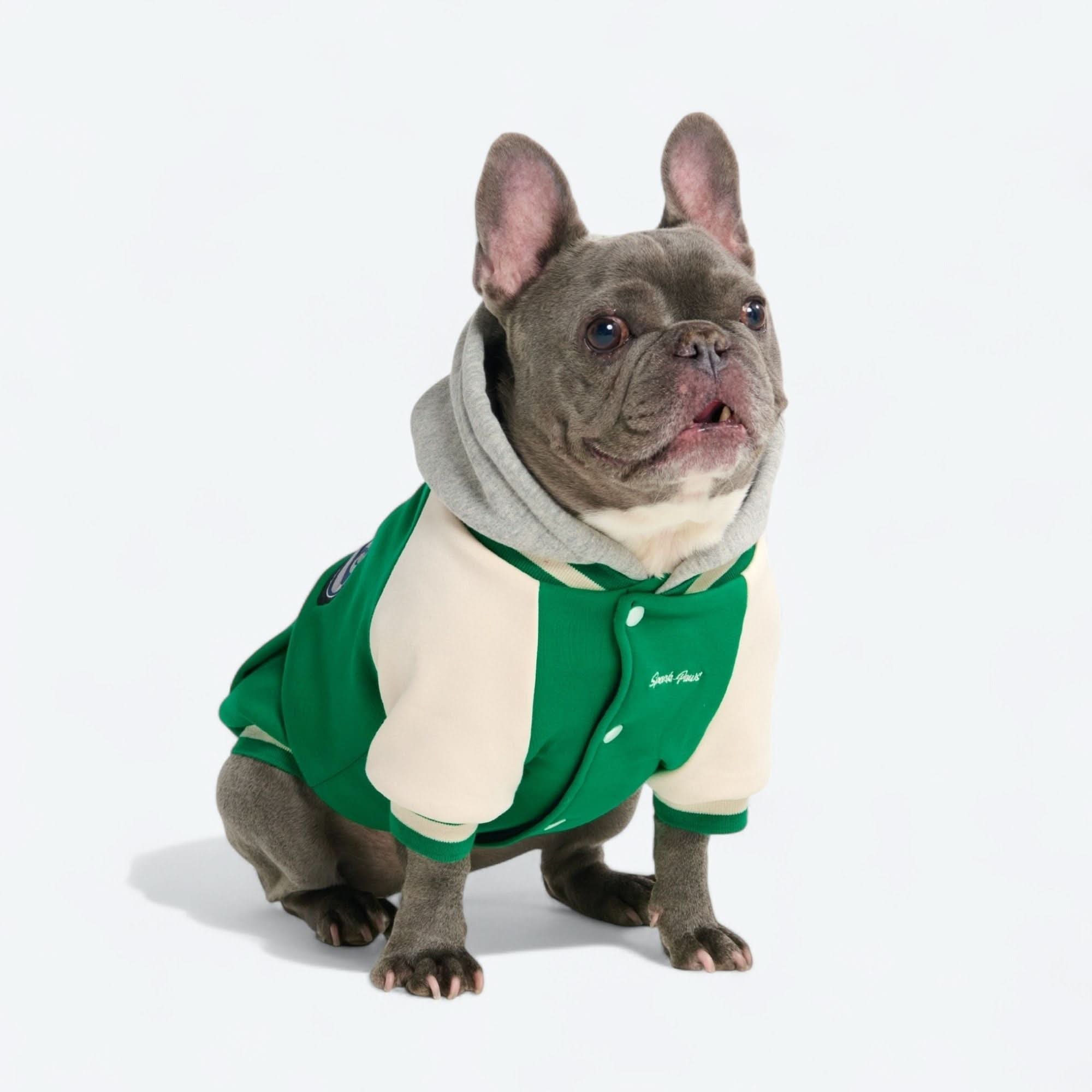 Dog Varsity Jacket - Green - Image 15