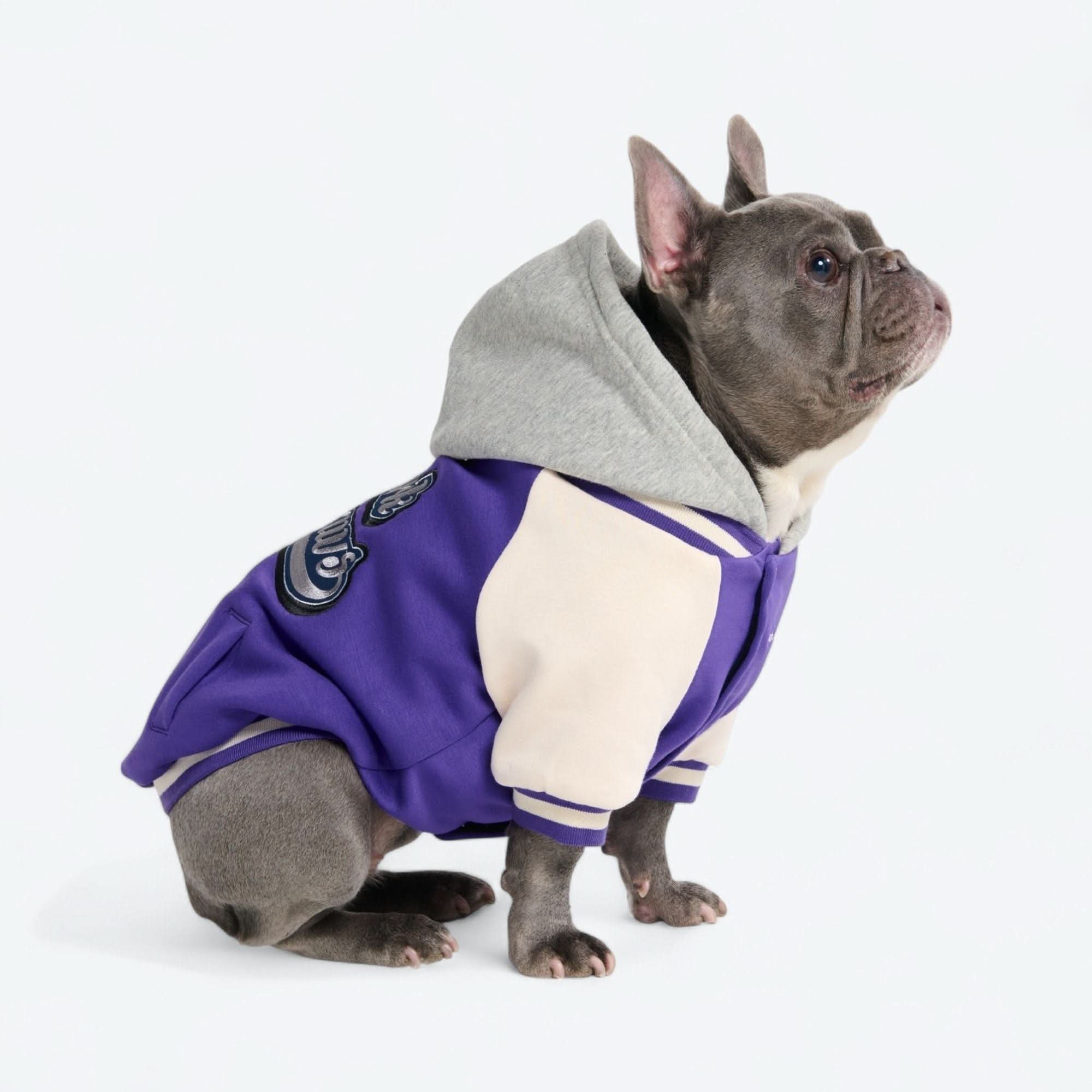 Dog Varsity Jacket - Purple - Image 14