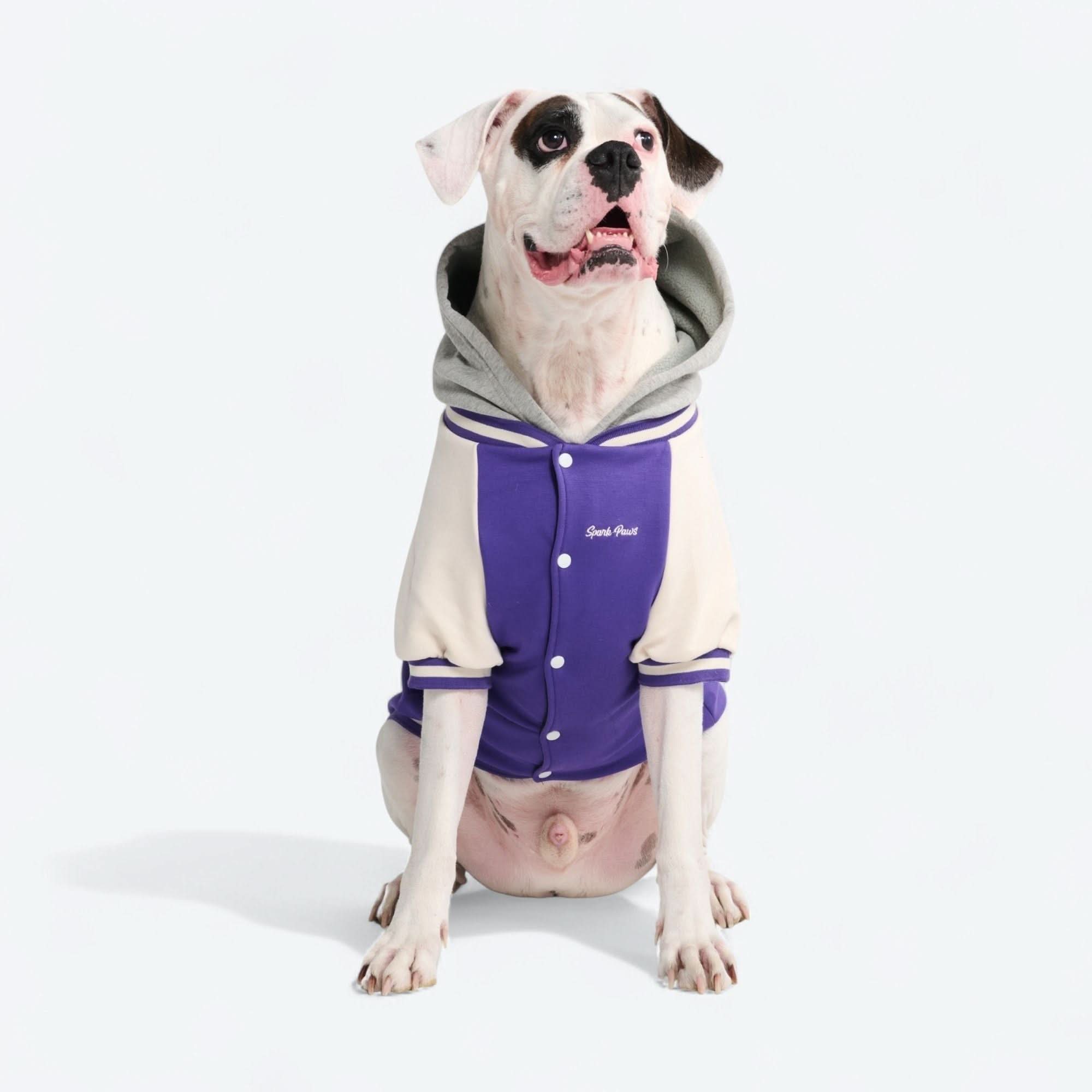 Dog Varsity Jacket - Purple - Image 15