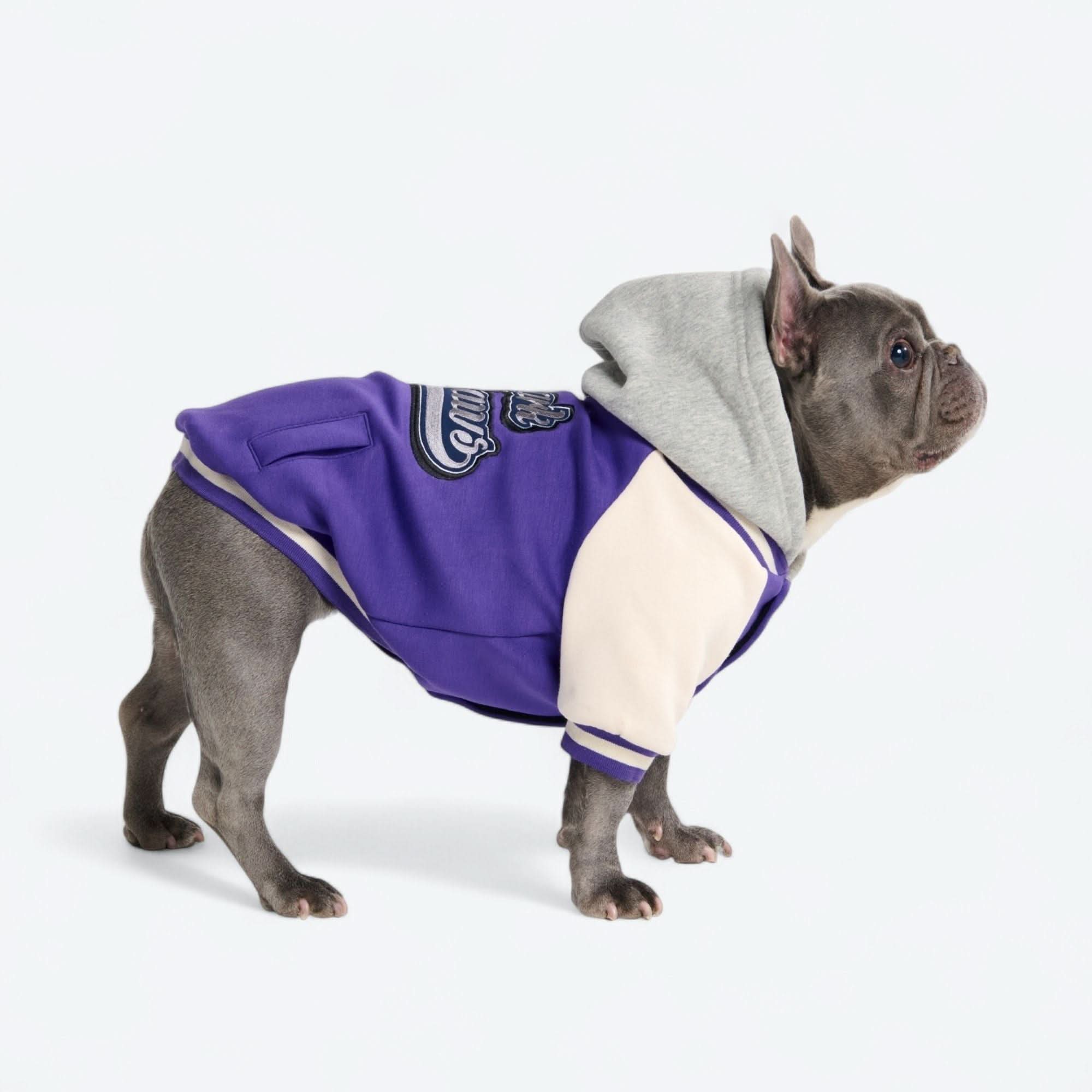 Dog Varsity Jacket - Purple - Image 4