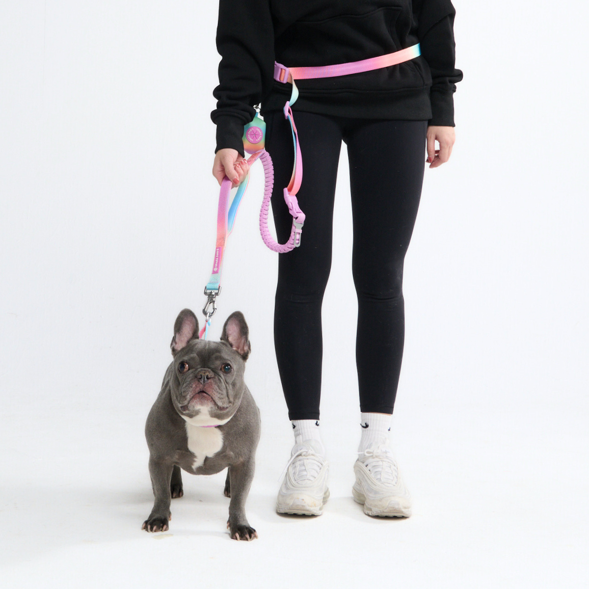 Multipurpose Seatbelt Handsfree Leash & Poop Bag Holder Set - Image 10