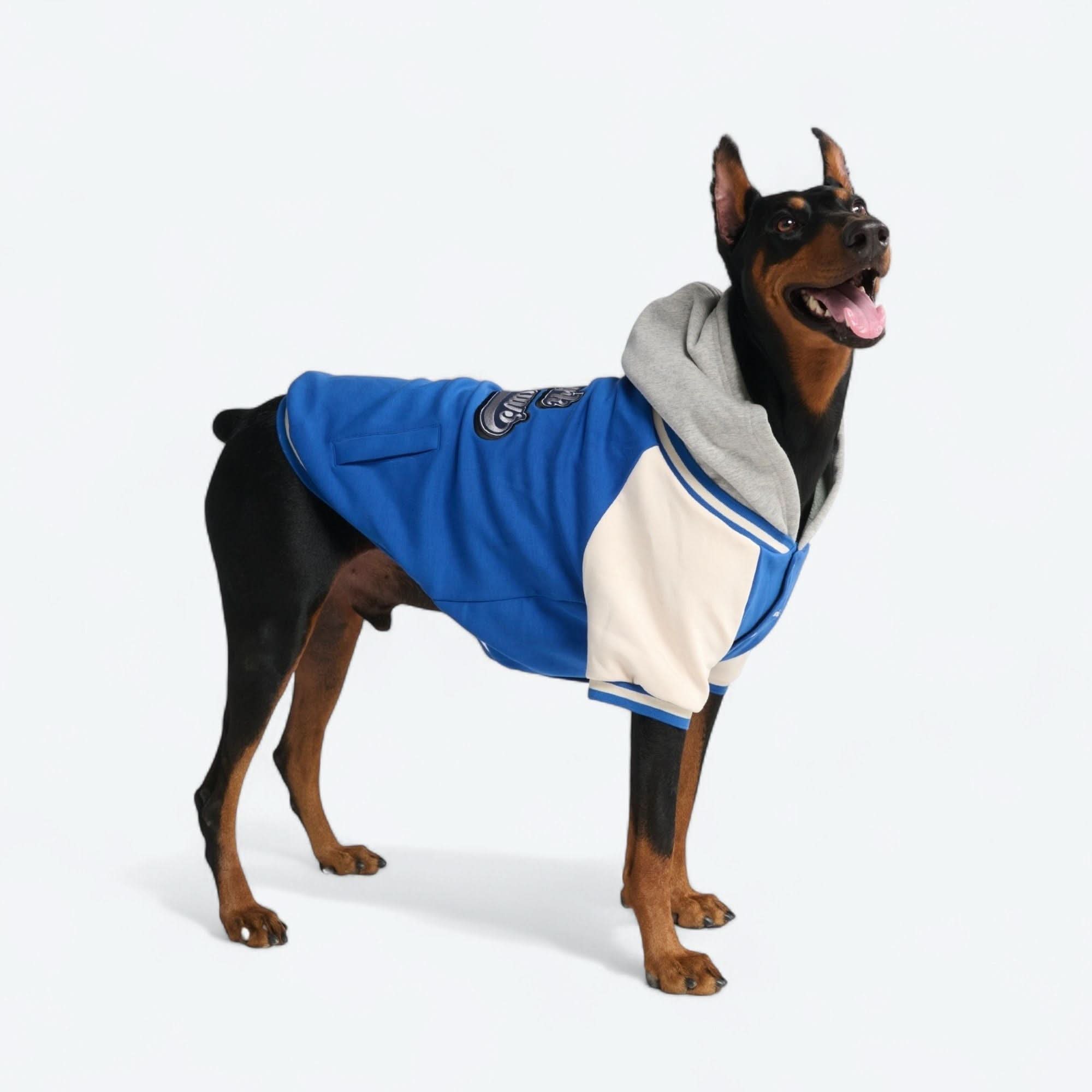 Dog Varsity Jacket - Blue - Image 15