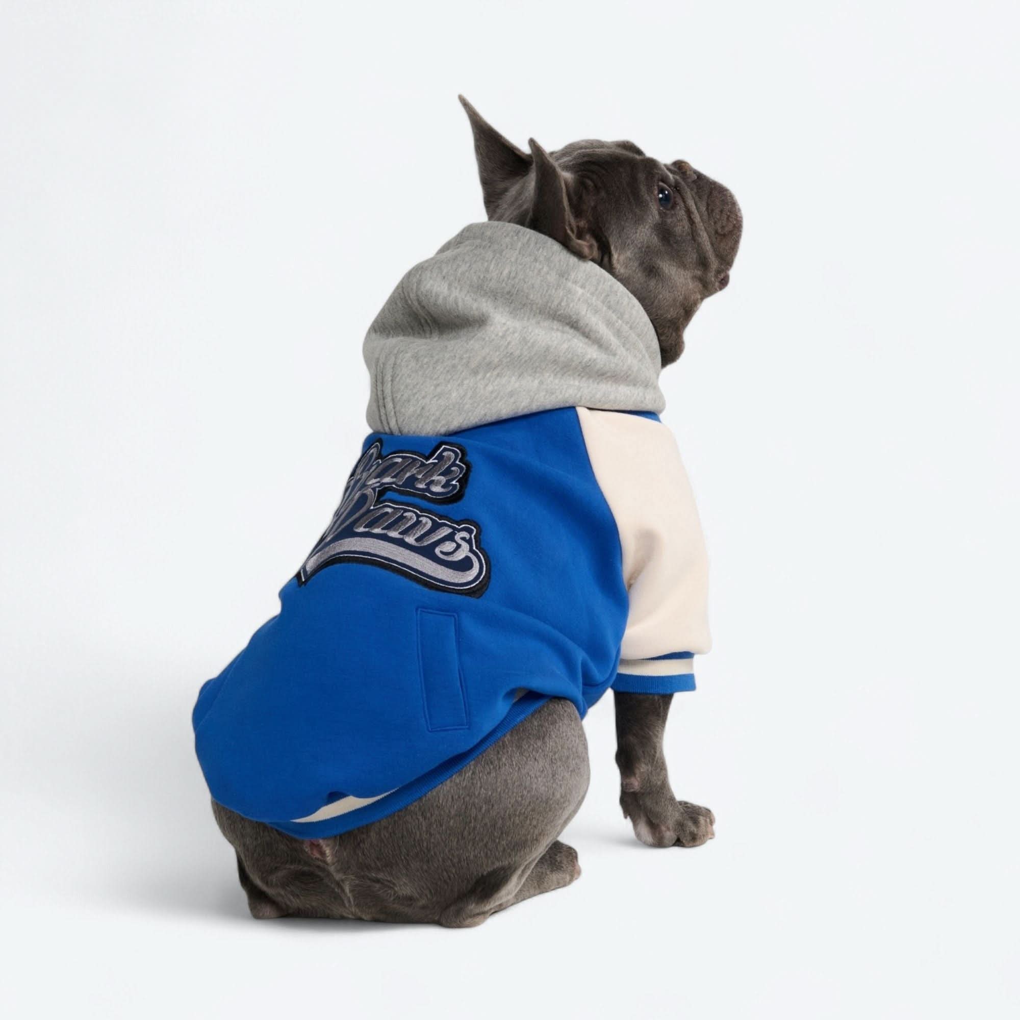 Dog Varsity Jacket - Blue - Image 5