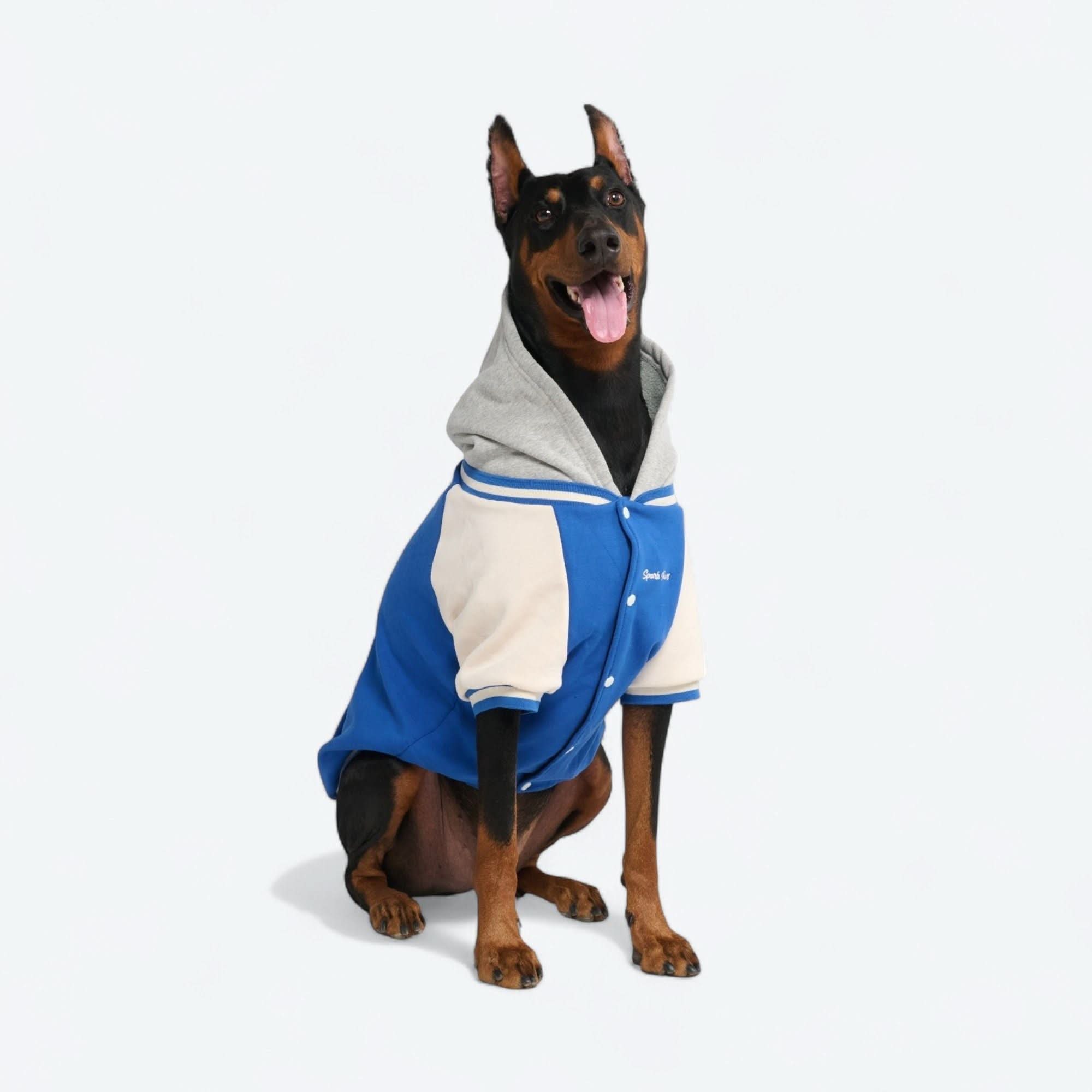 Dog Varsity Jacket - Blue - Image 14