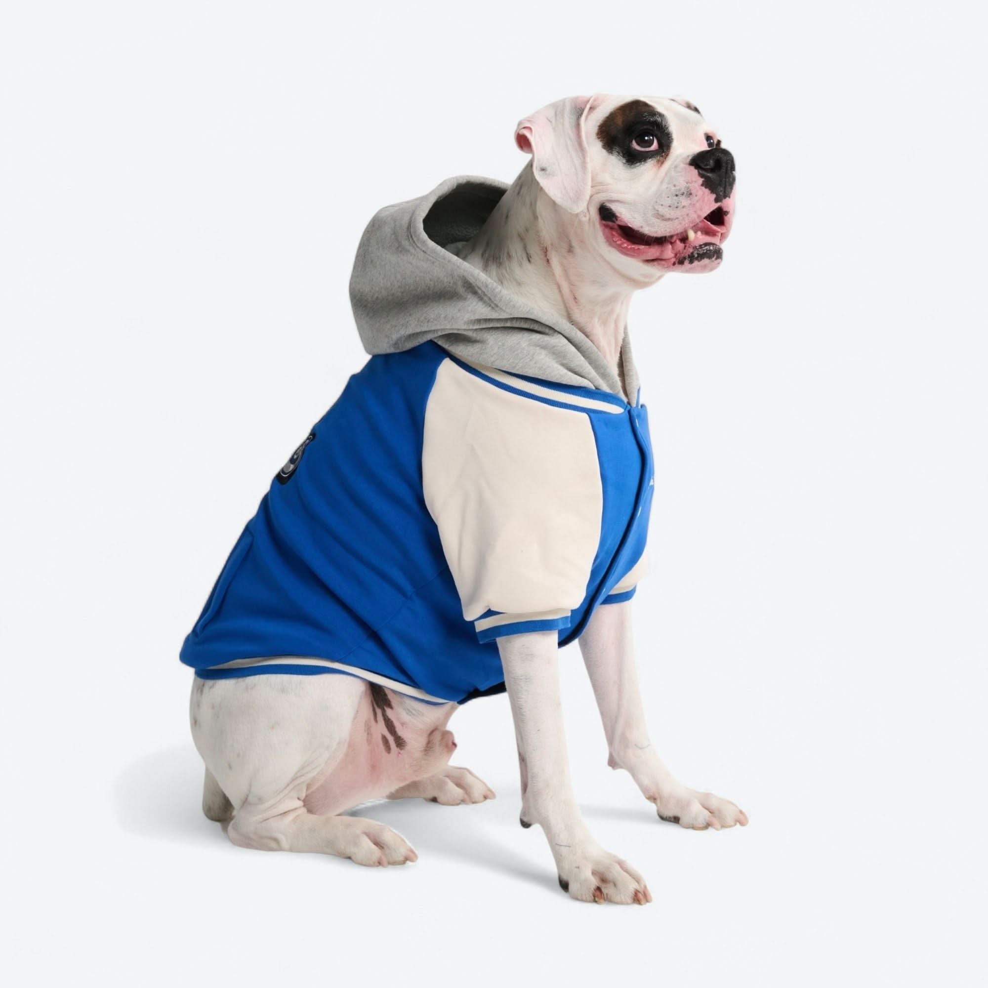 Dog Varsity Jacket - Blue - Image 13