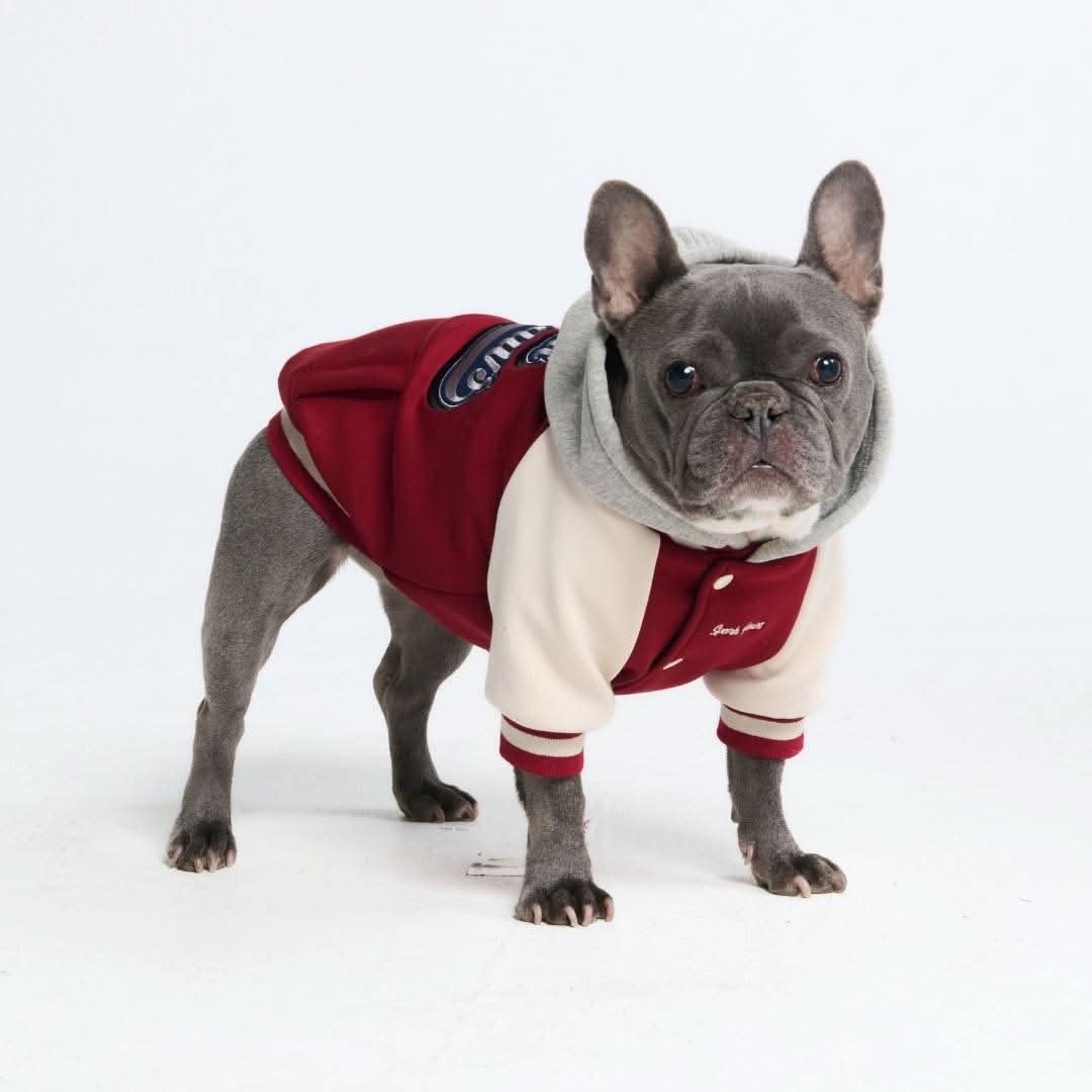 Dog Varsity Jacket - Red - Image 12