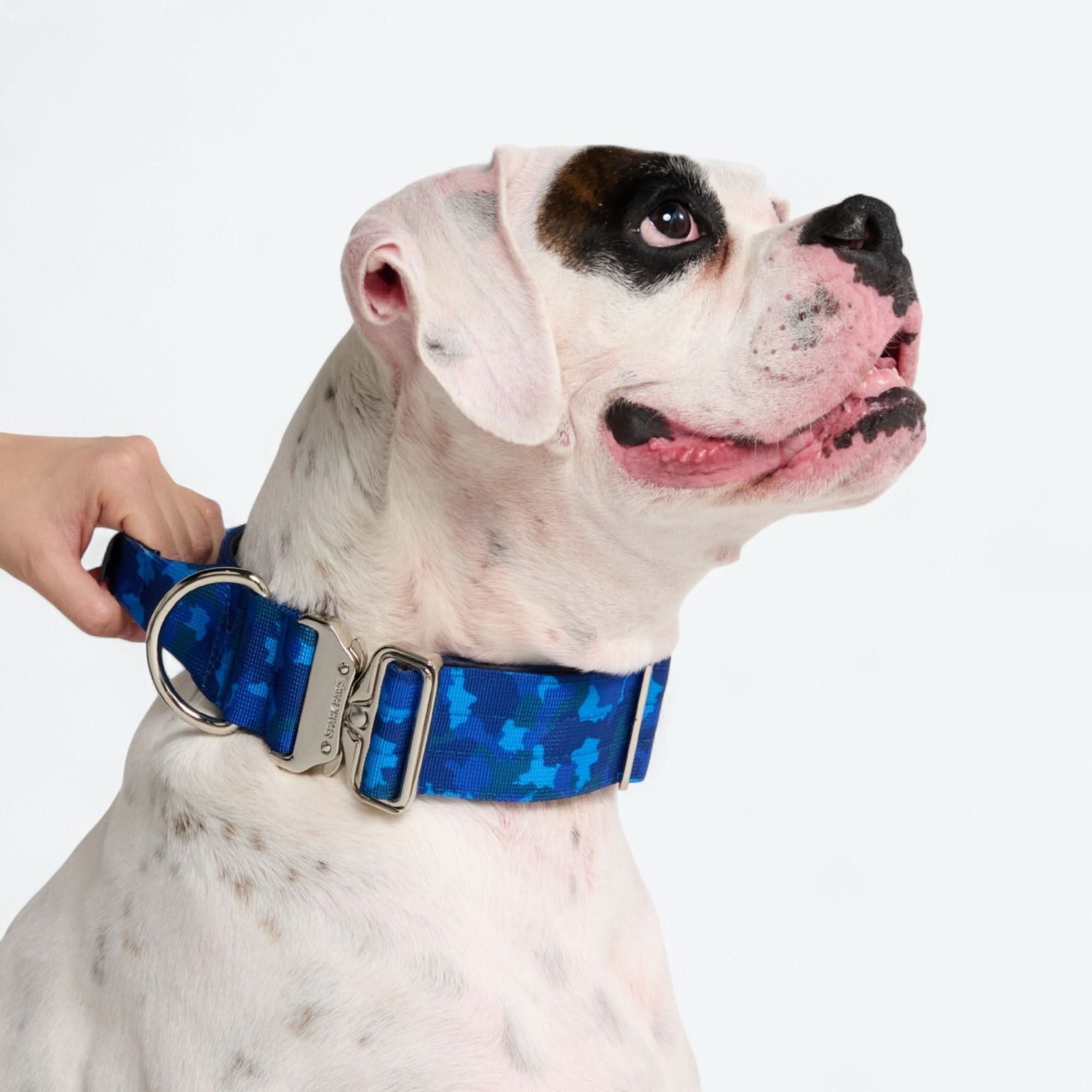 Comfort Control Collar - Blue Camo - Image 2
