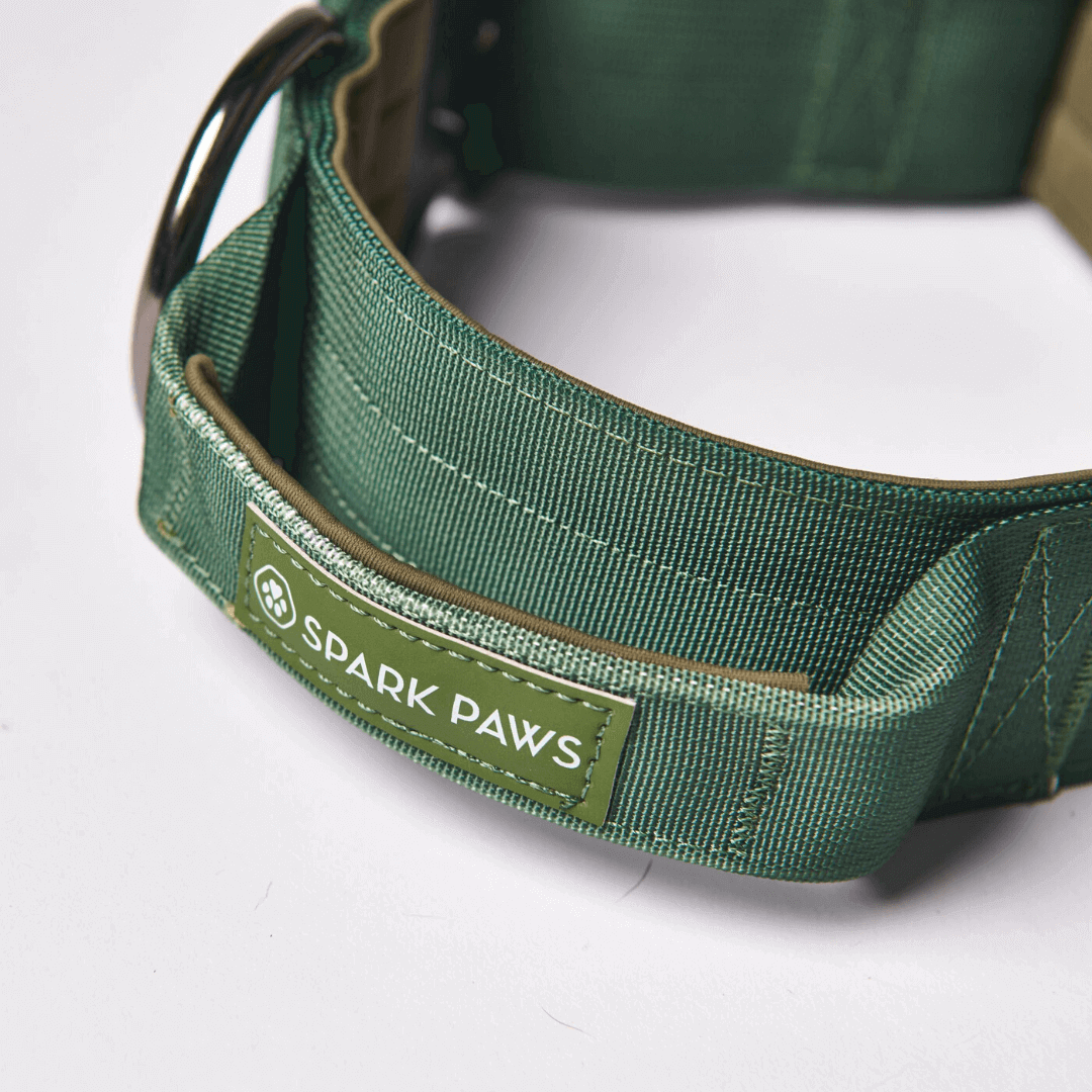 Comfort Control Collar - Army Green - Image 5