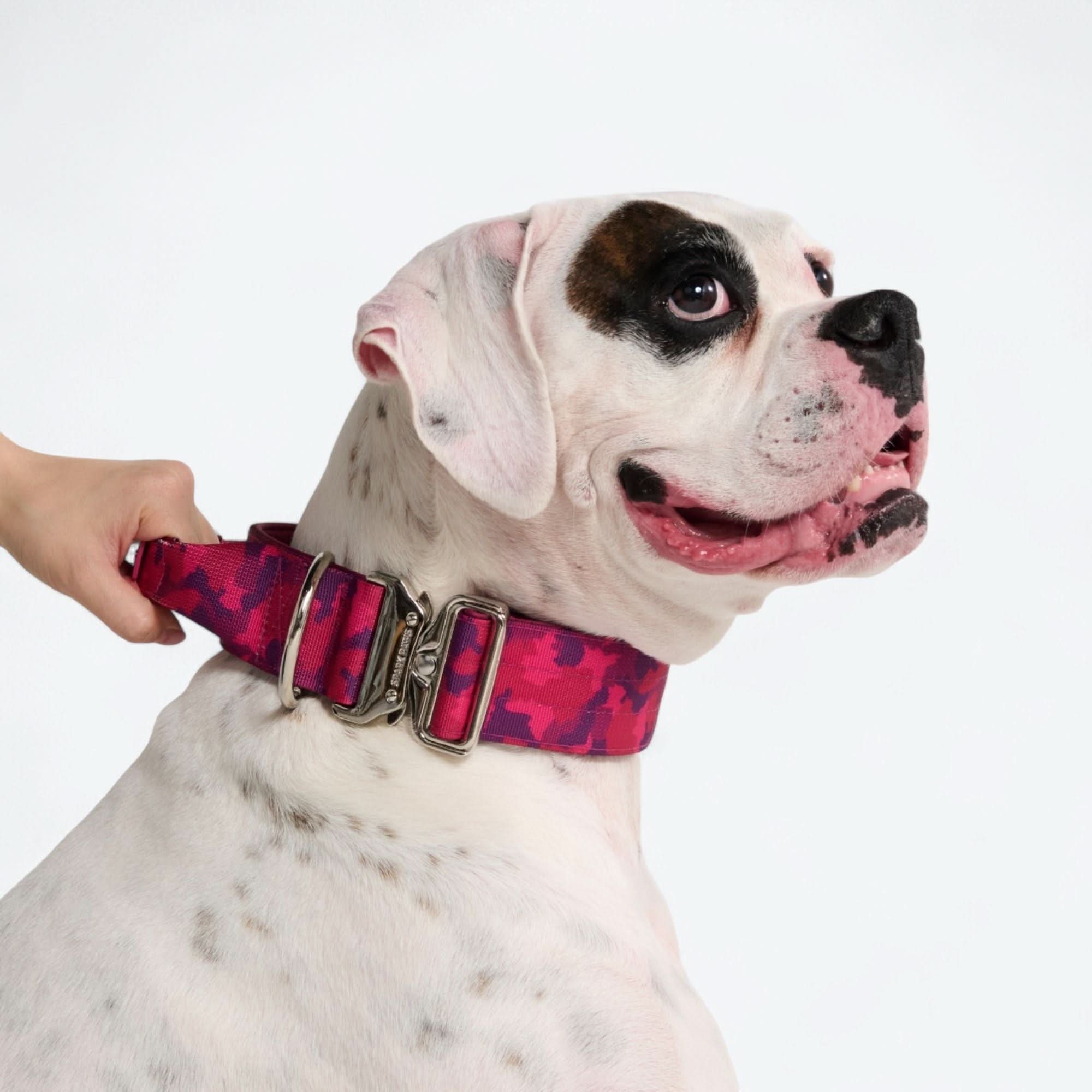 Comfort Control Collar - Fuchsia Camo - Image 2