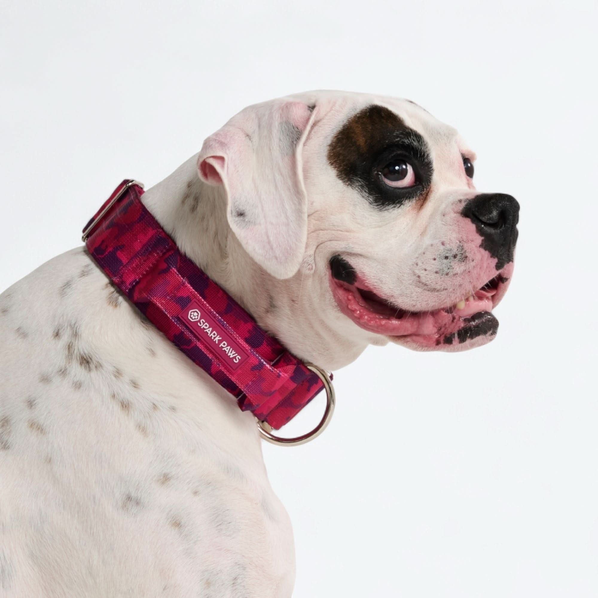 Comfort Control Collar - Fuchsia Camo - Image 4