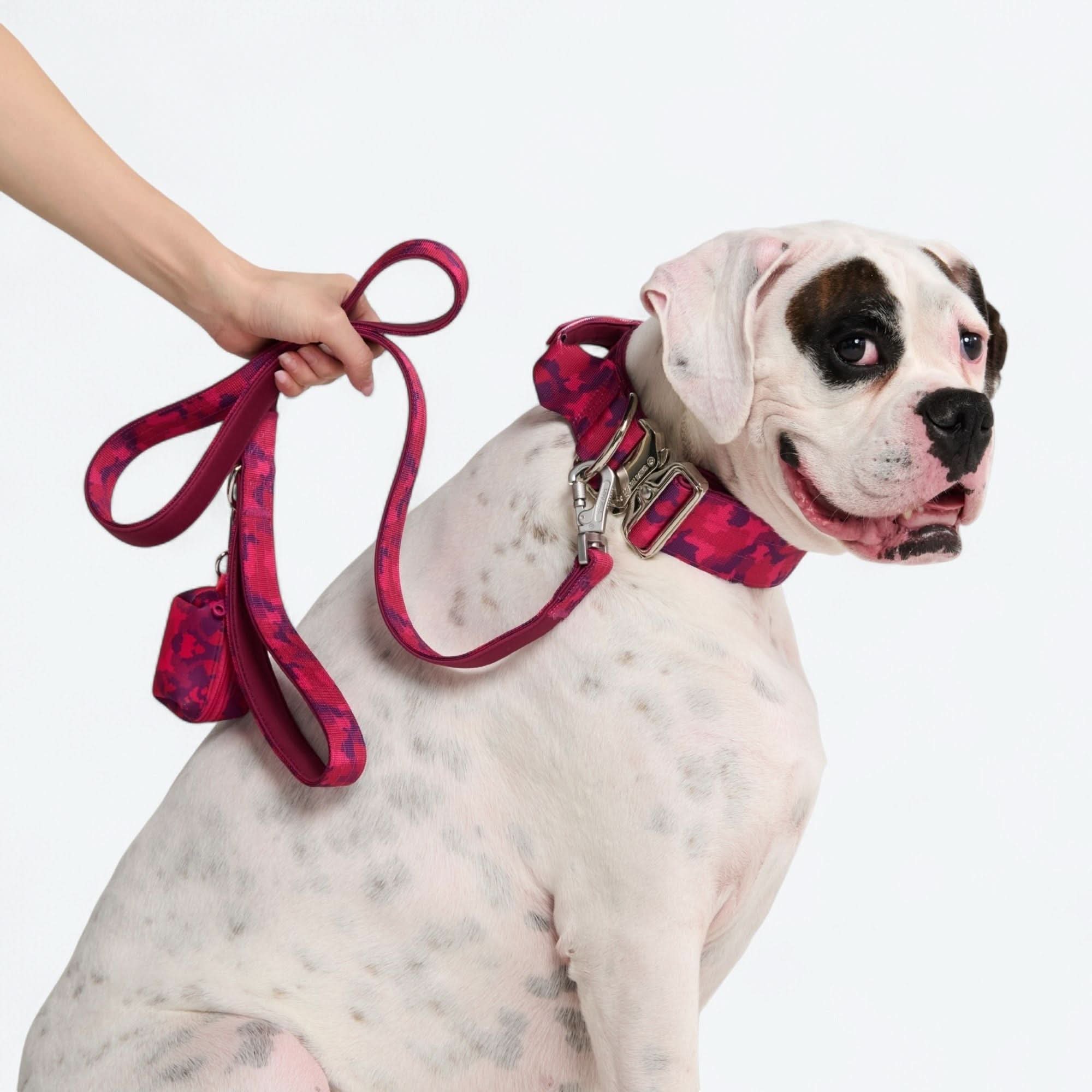Comfort Control Collar - Fuchsia Camo - Image 5