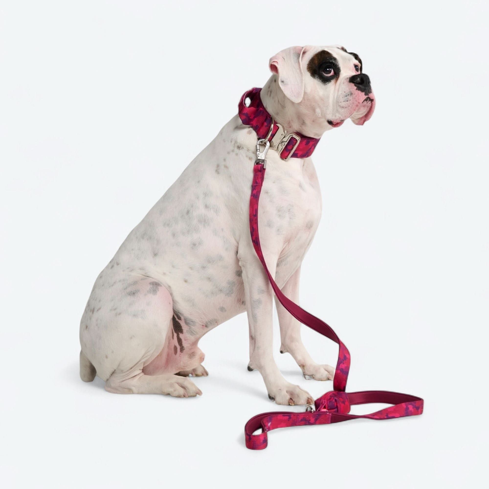 Comfort Control Collar - Fuchsia Camo - Image 8