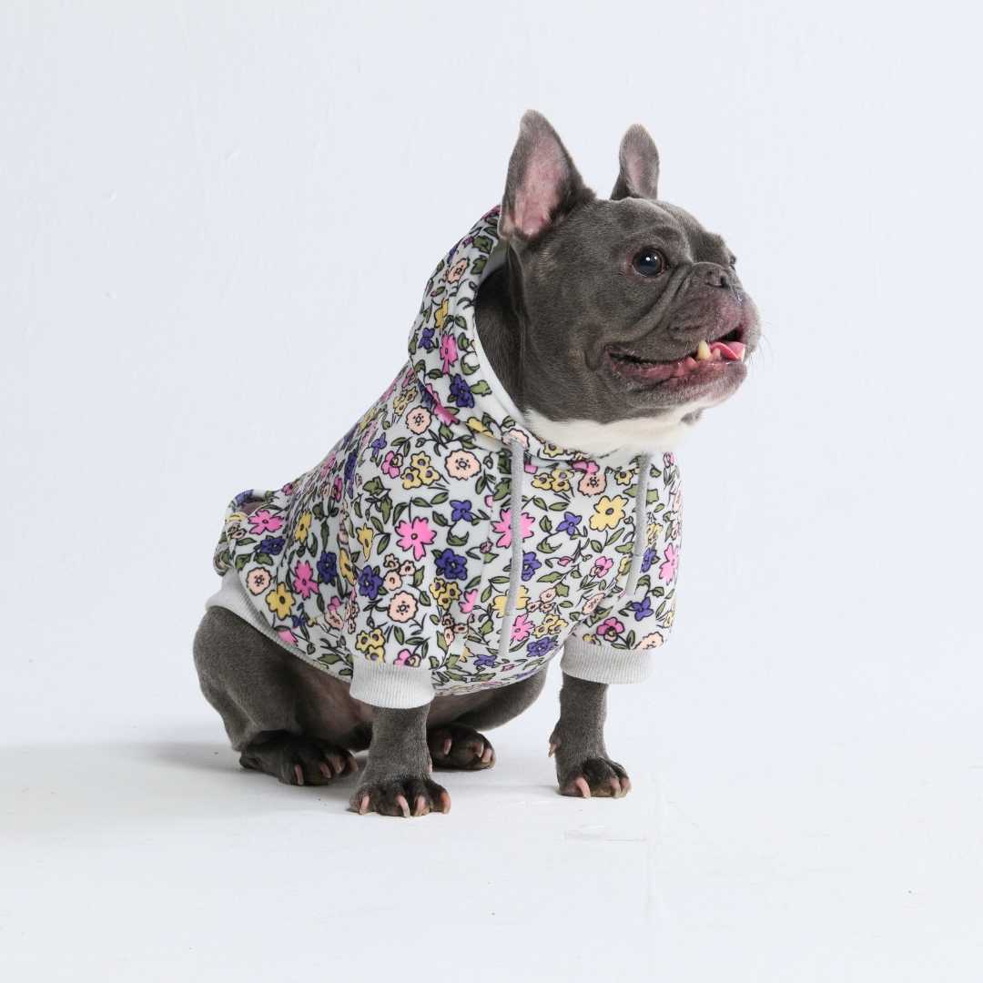 Vintage Flower Dog Hoodie - Light Grey - Image 4