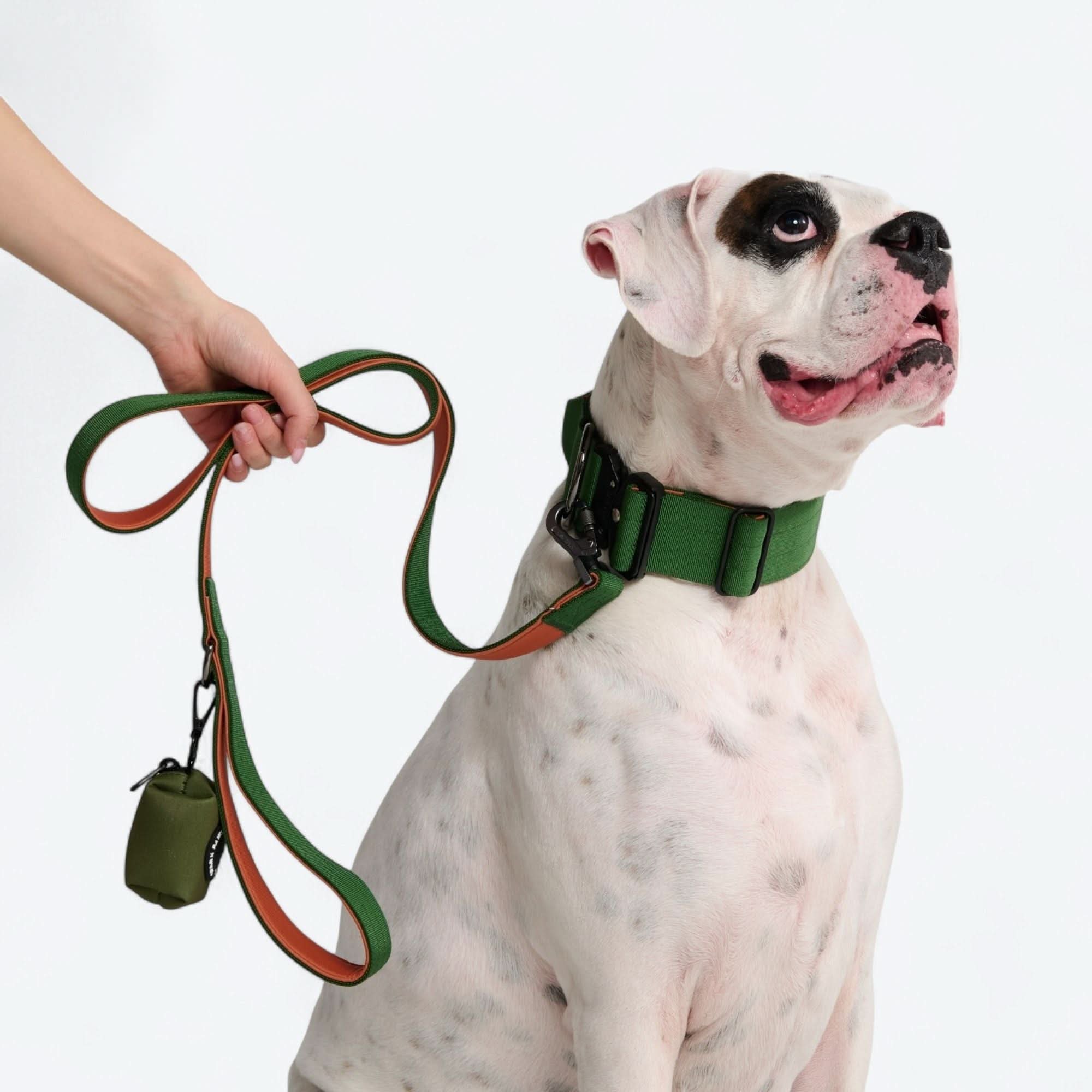 Leash and Poop Bag Holder Set - Green Orange - Image 2