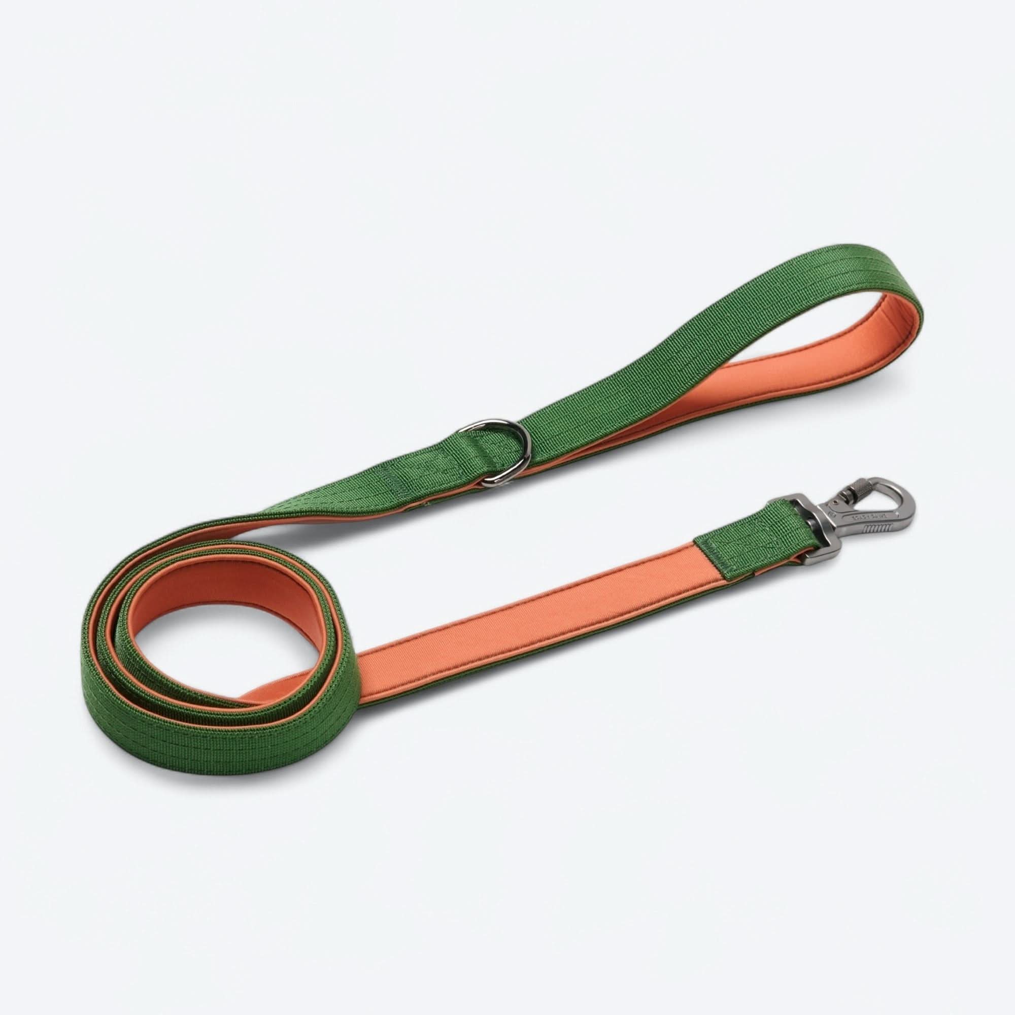 Leash and Poop Bag Holder Set - Green Orange - Image 4