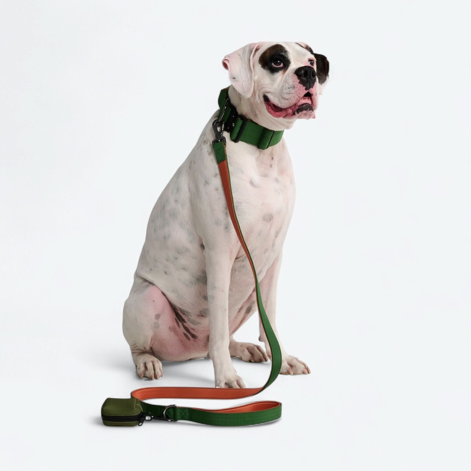 Leash and Poop Bag Holder Set - Green Orange - Image 3