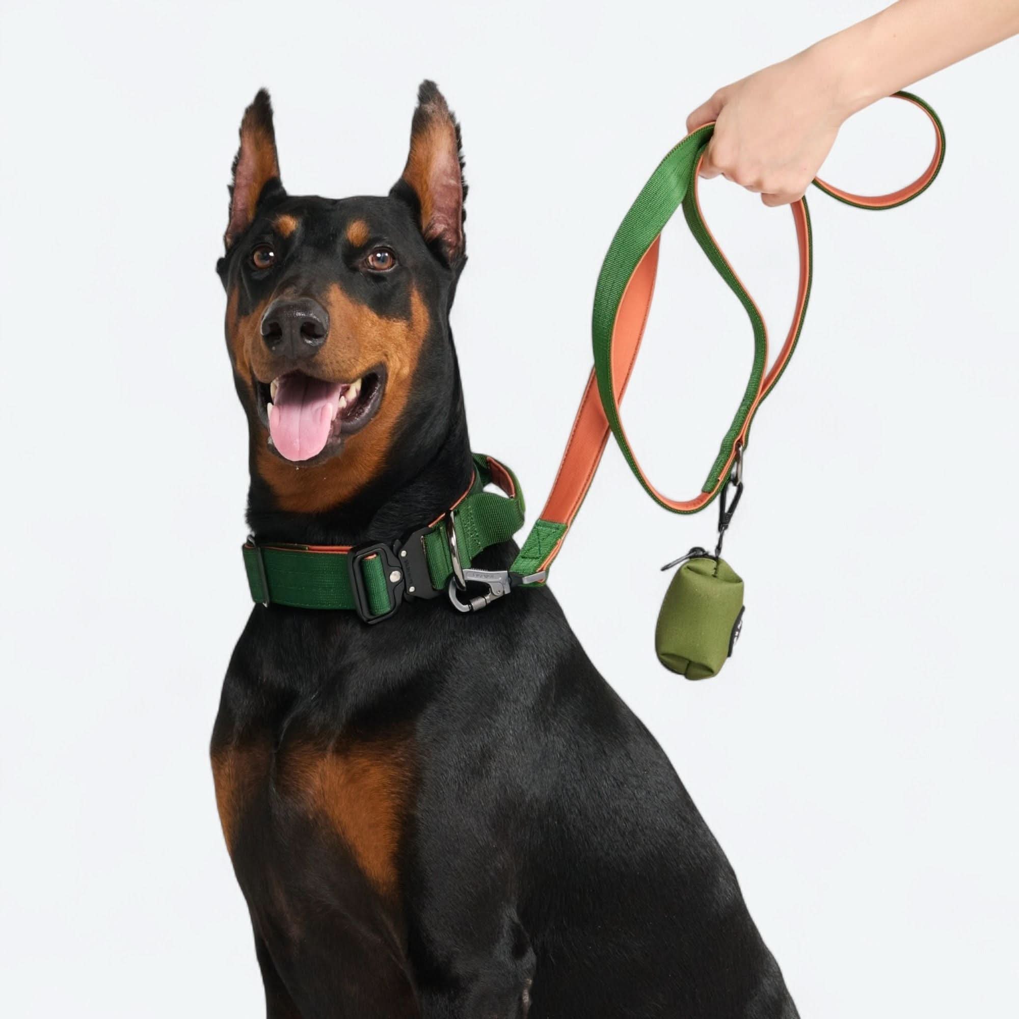 Comfort Control Collar - Green Orange - Image 2