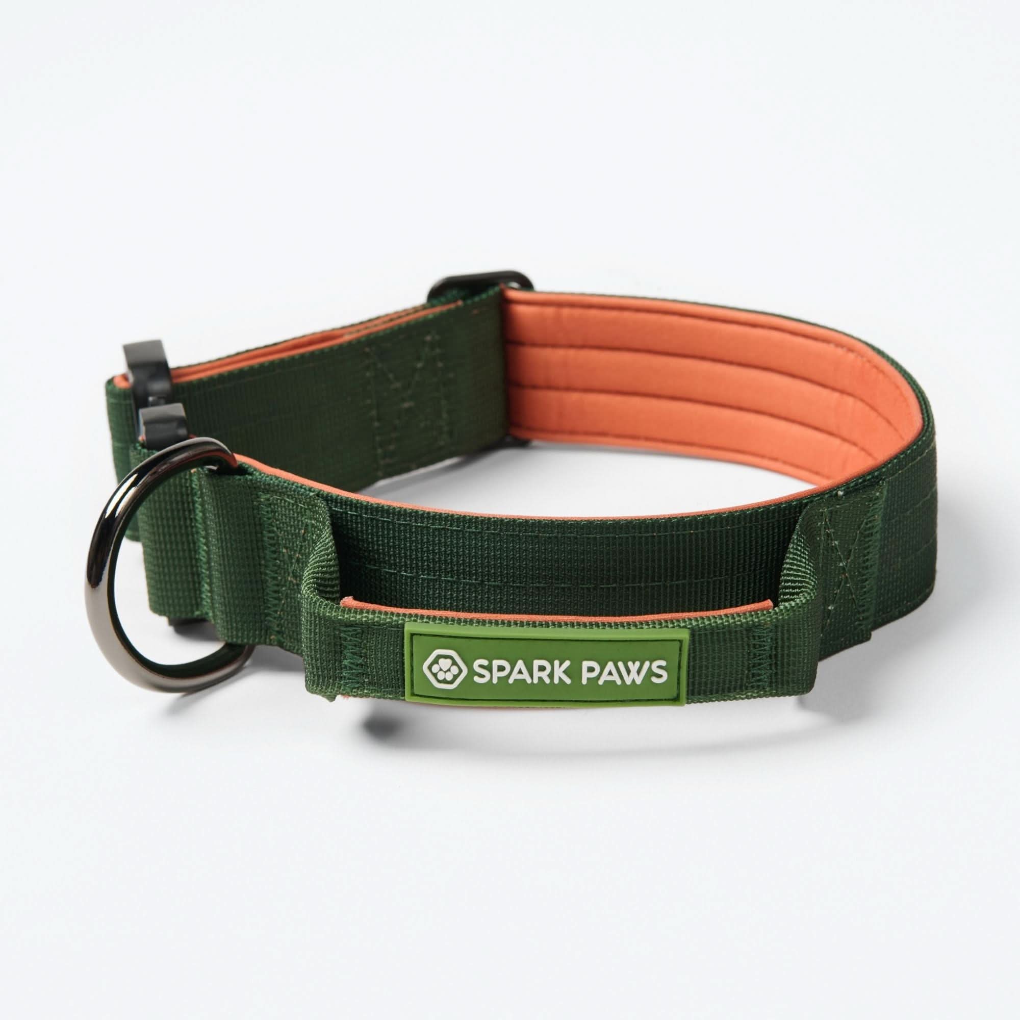 Comfort Control Collar Set - Green Orange - Image 2
