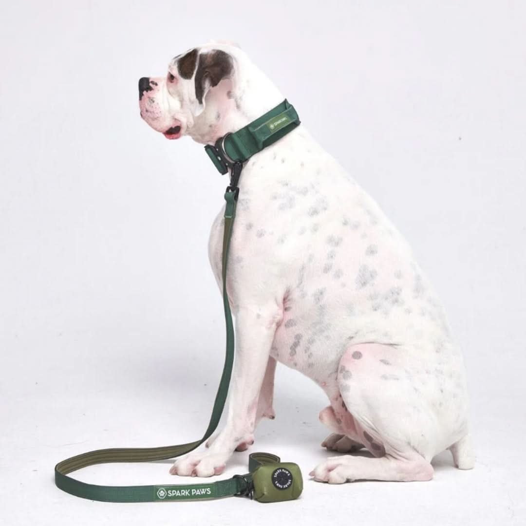 Leash and Poop Bag Holder Set - Army Green - Image 2