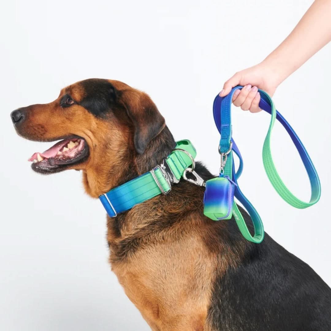 Leash and Poop Bag Holder Set - Lime Wave - Image 2