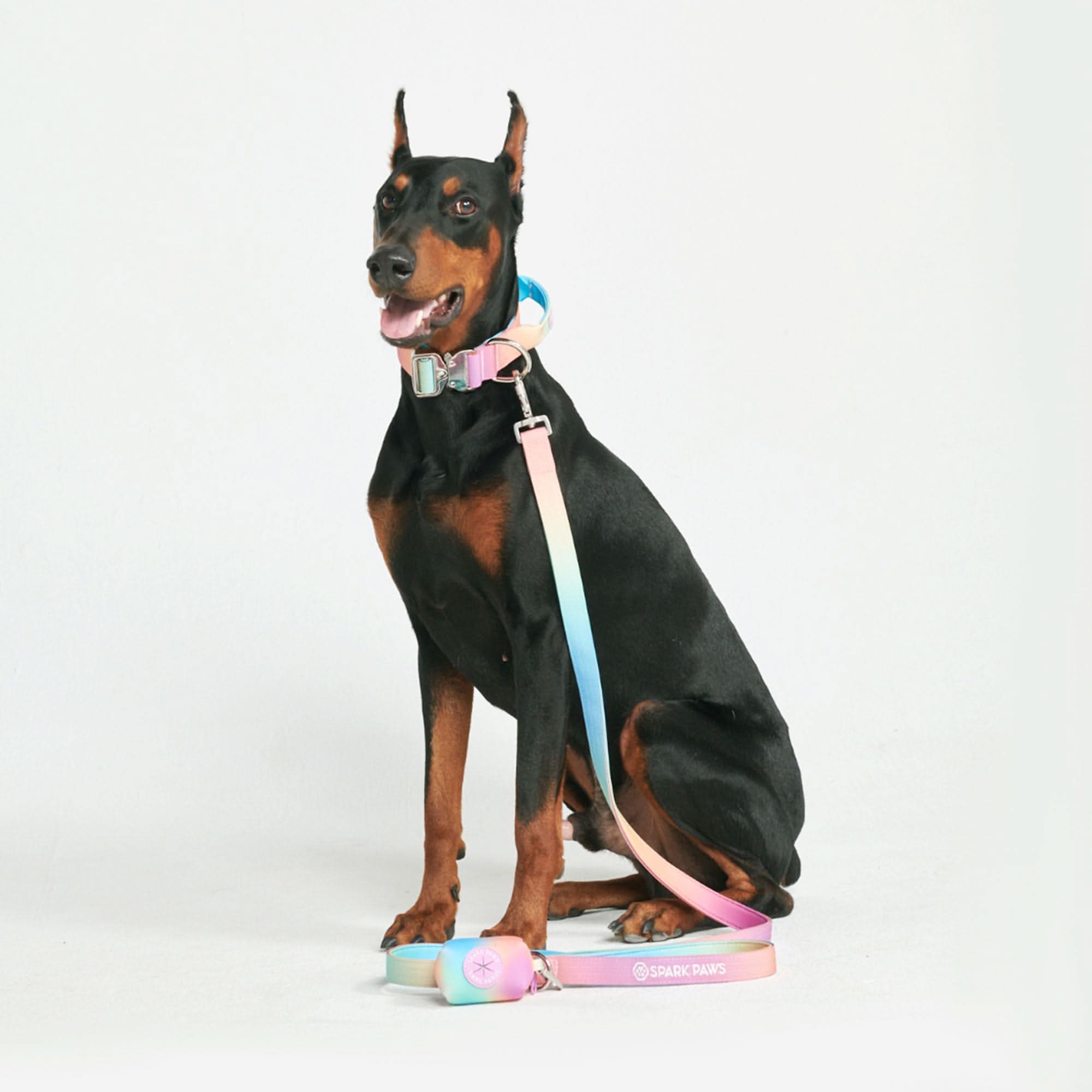 Leash and Poop Bag Holder Set - Pastel Icing - Image 2