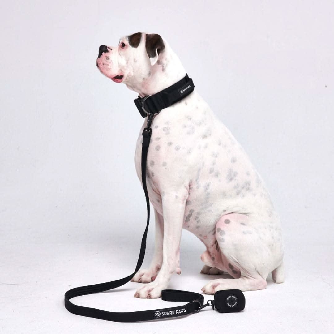 Leash and Poop Bag Holder Set - Black - Image 2