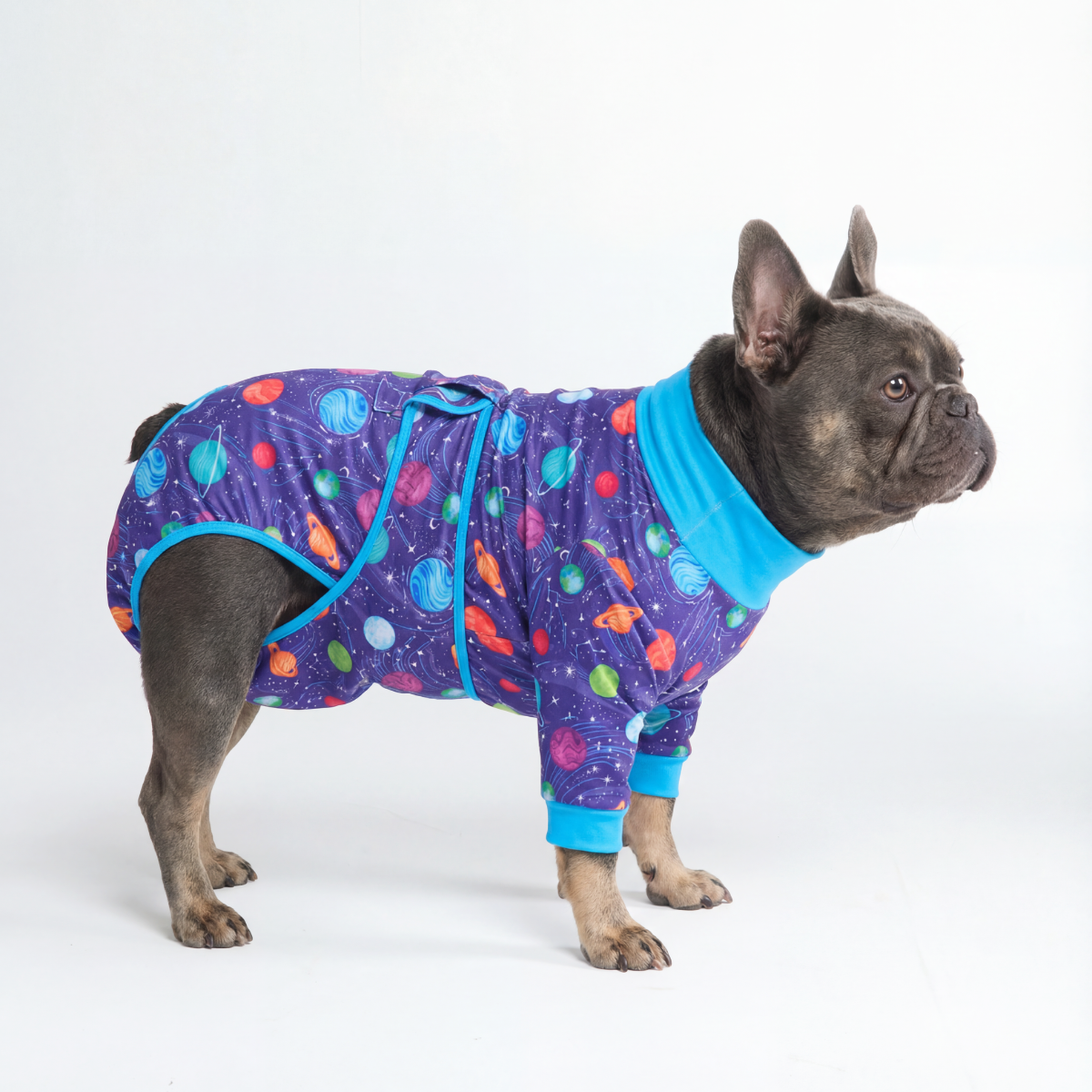 Dog Surgical Suit - Planets - Image 4