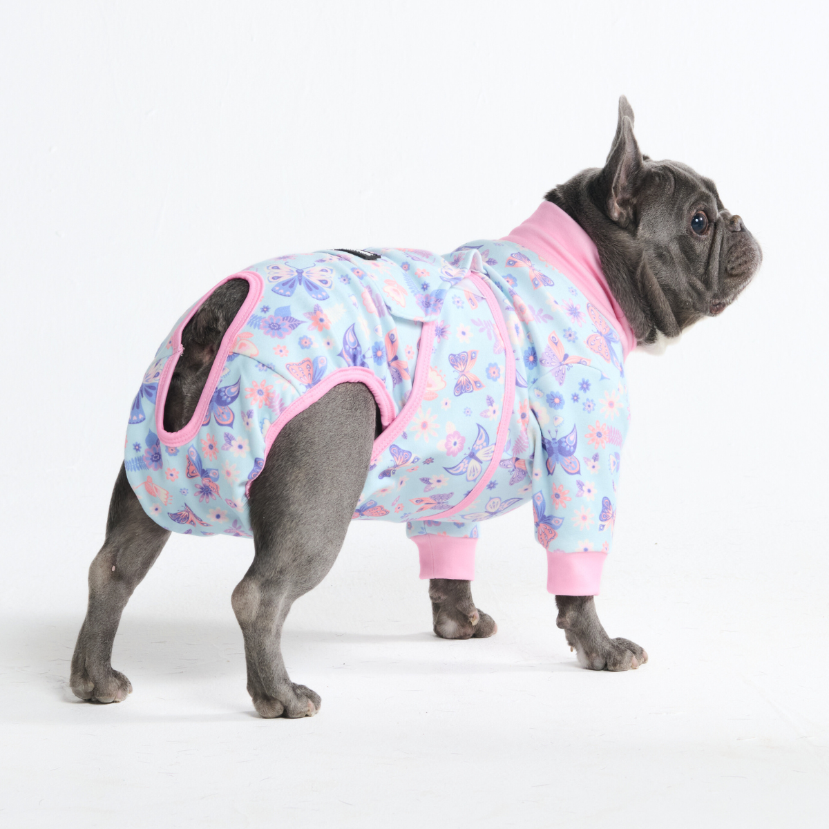 Dog Surgical Suit - Butterfly - Image 10