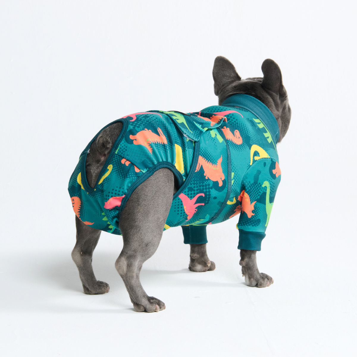 Dog Surgical Suit - Dinosaurs - Image 10