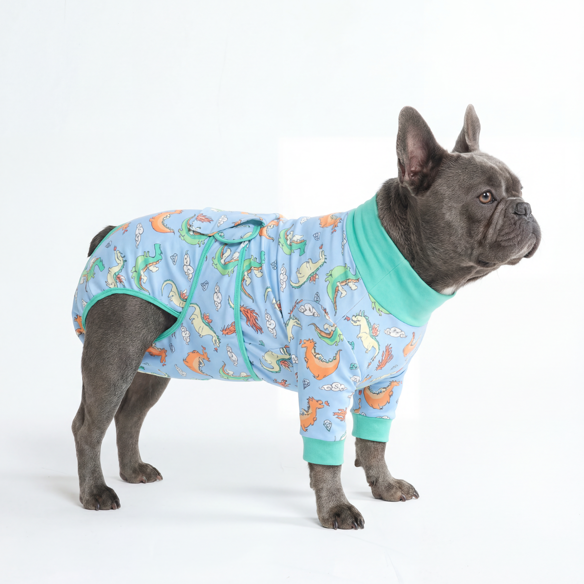 Dog Surgical Suit - Dragons - Image 2