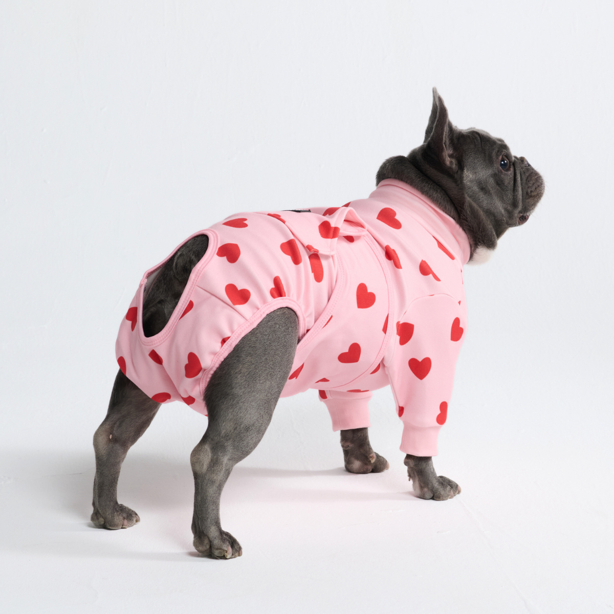 Dog Surgical Suit - Pink Hearts - Image 10