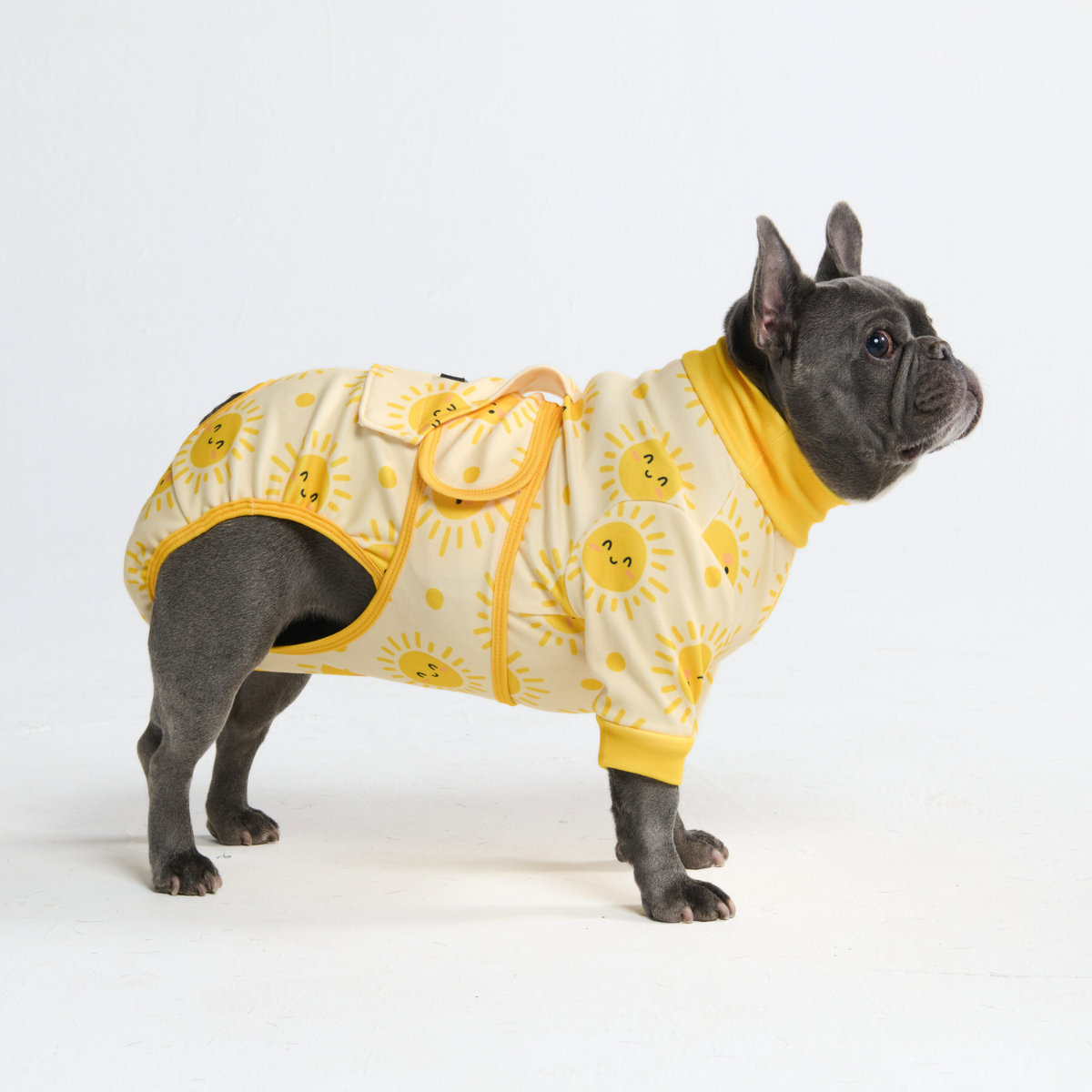 Dog Surgical Suit - Sunshine - Image 4
