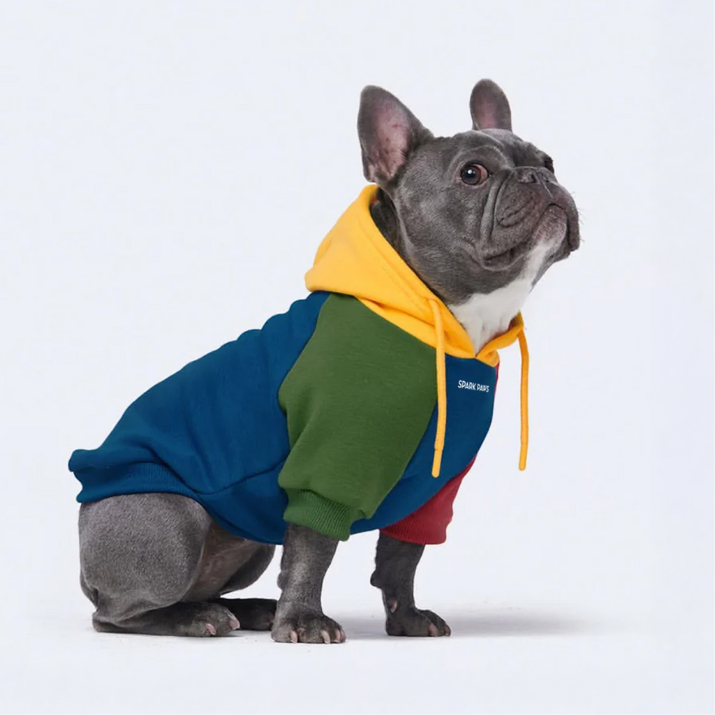 Primary Color Block Dog Hoodie - Image 5