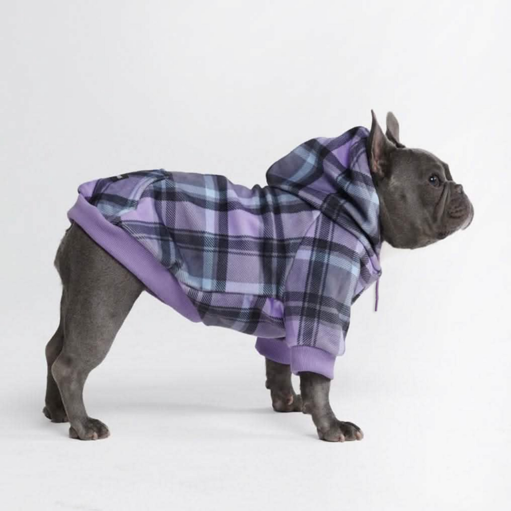 Purple Plaid Dog Hoodie - Image 5